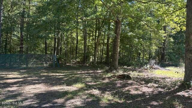 Back Lot - 60 Harrell Lane, Eure, NC 27935