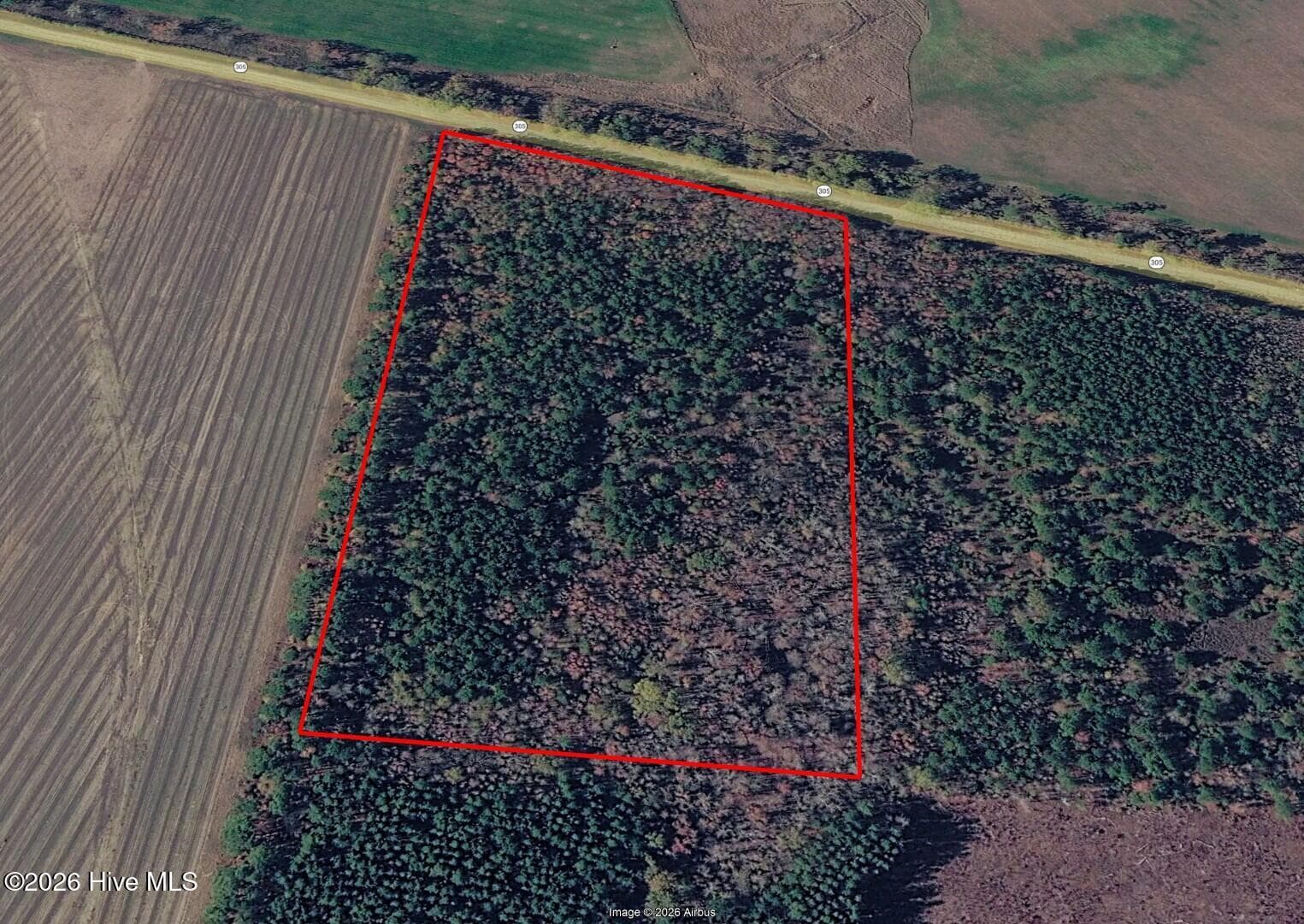 Undeveloped at 18.5 Acres Georgia 305 Highway, Midville, GA 30441, photo 3 of 7