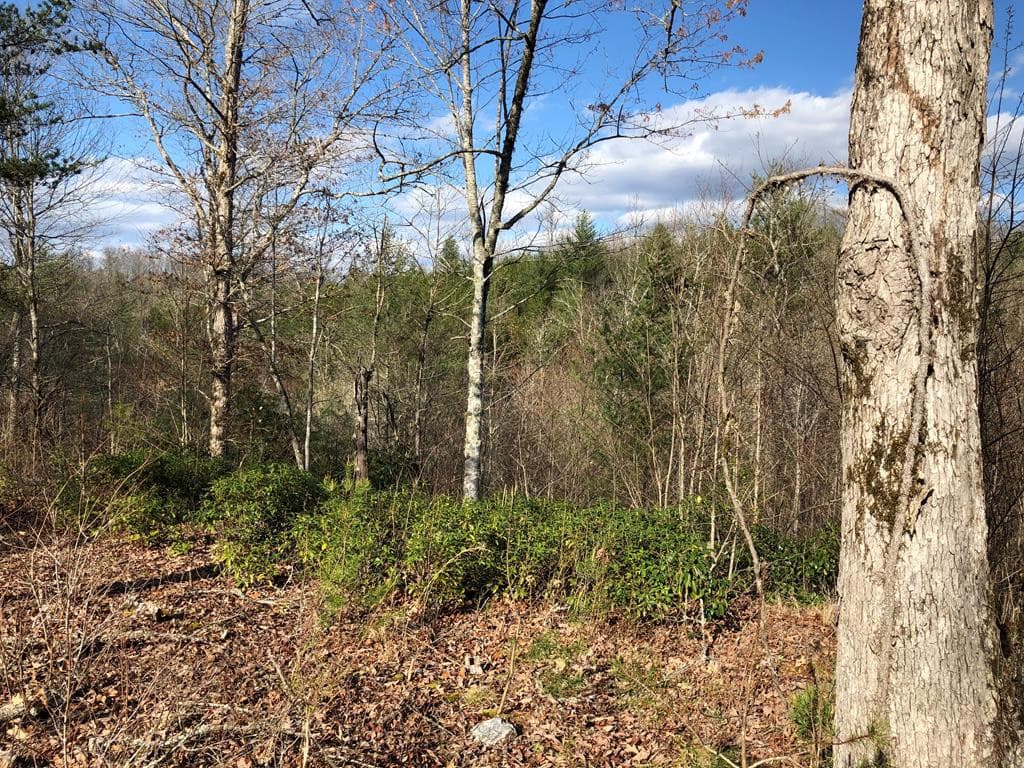 Lot #94 River Mountain Road, Murphy, NC 28906
