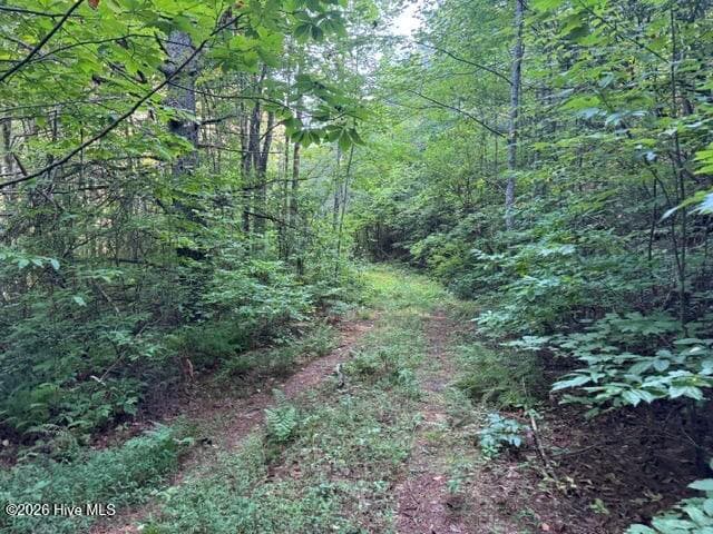 Residential Lot at 5 Tyler Lane, Marble, NC 28905, photo 4 of 28