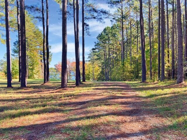 Residential Lot at 18 S Pointe Cove, Lincolnton, GA 30817, photo 13 of 15