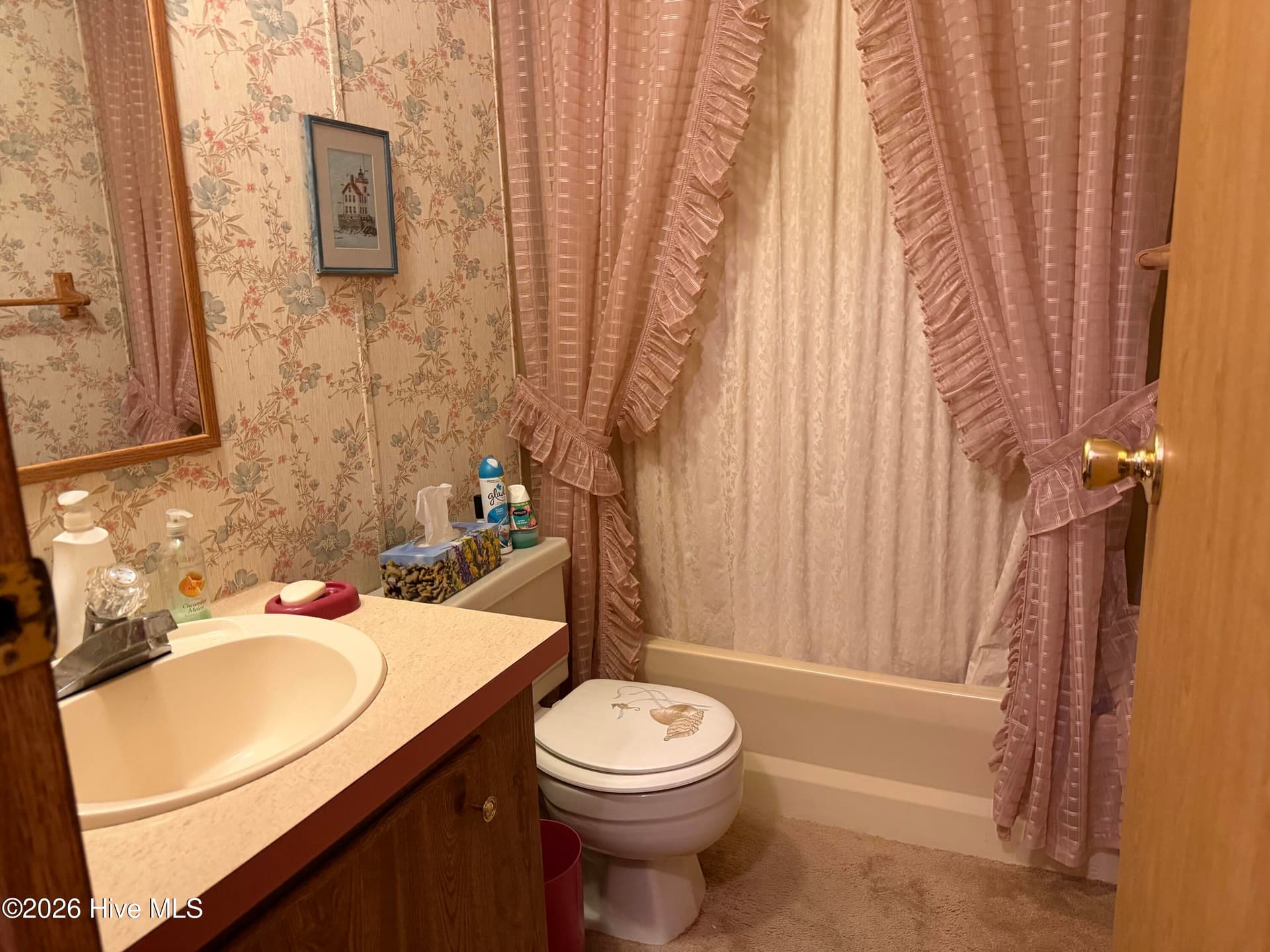Manufactured Home at 245 Lake Drive SW, Supply, NC 28462, photo 28 of 43
