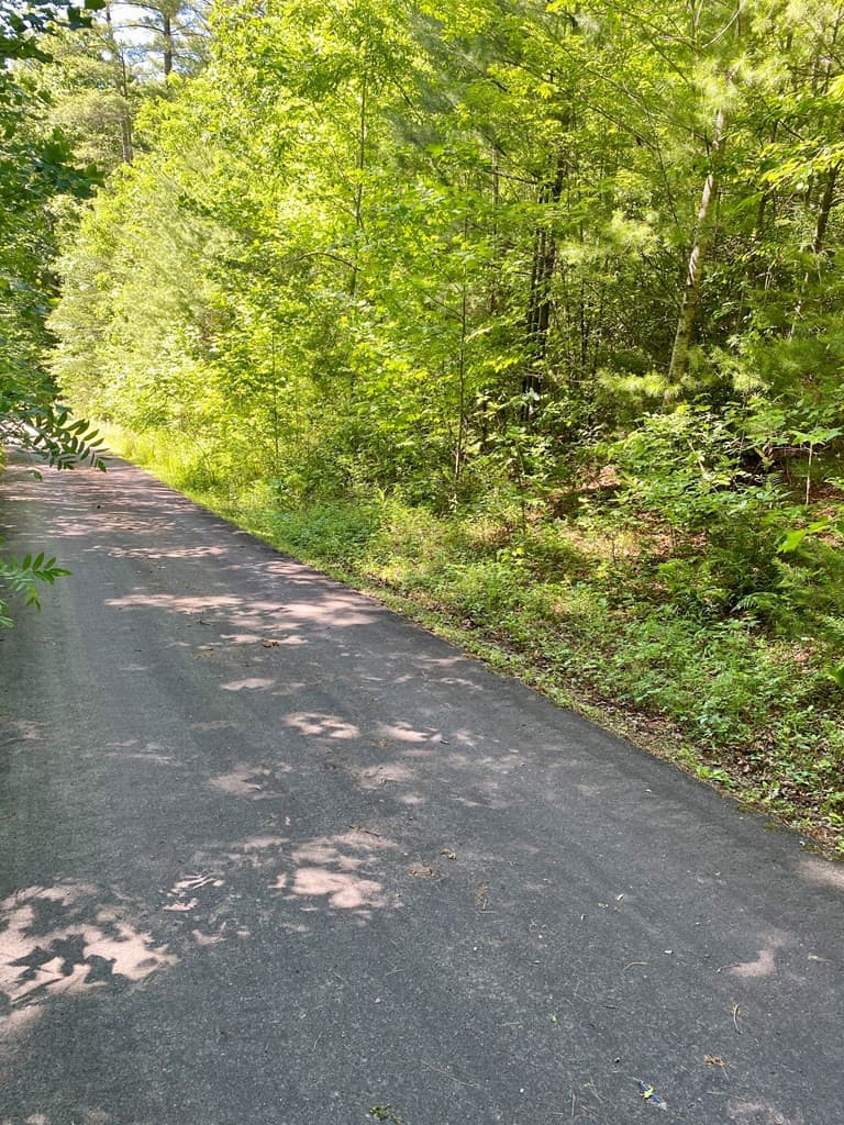 Land at 00 Deer Run, Robbinsville, NC 28771, photo 7 of 7