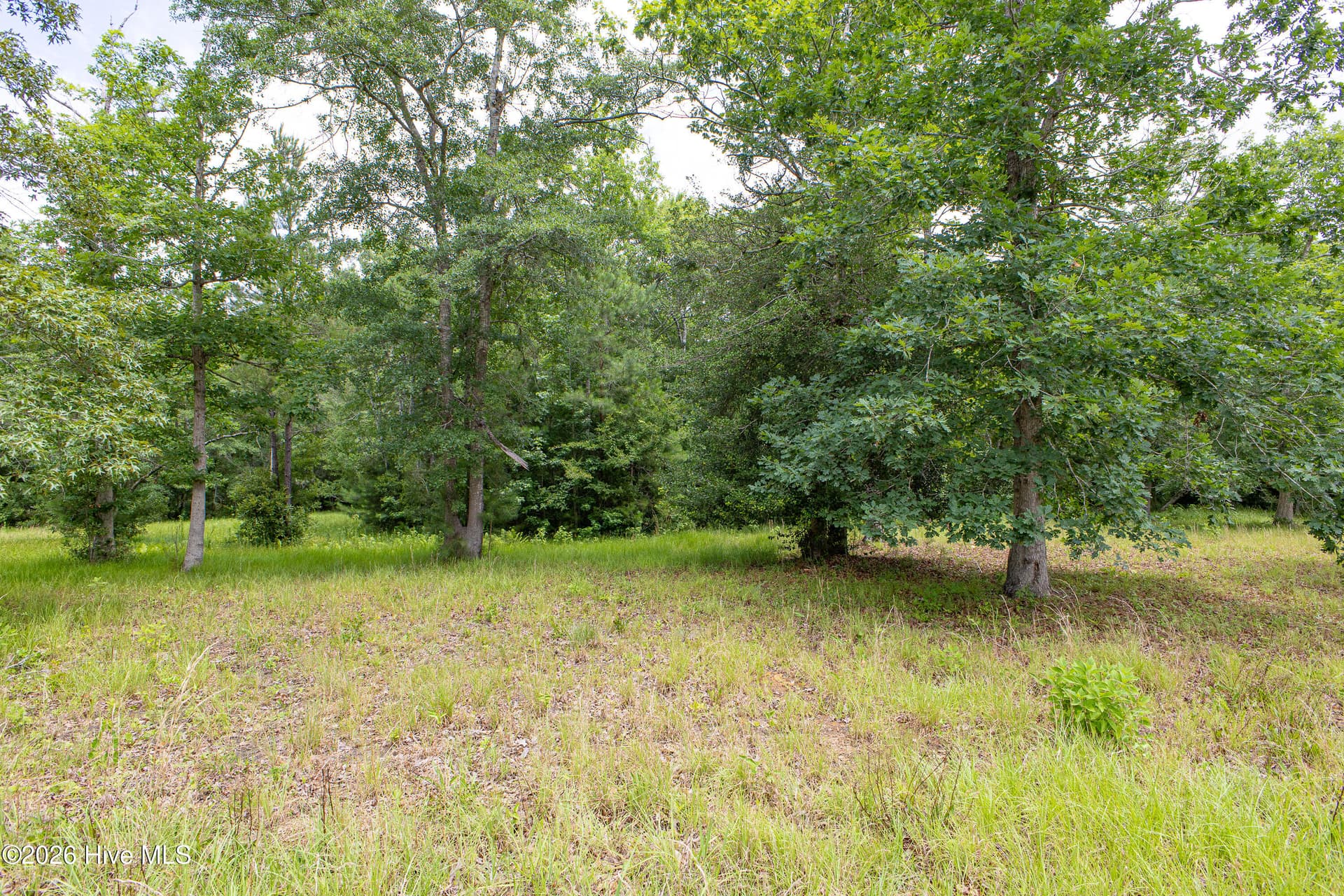 Residential Lot at 535 N Wild Rice Drive SW, Supply, NC 28462, photo 9 of 12