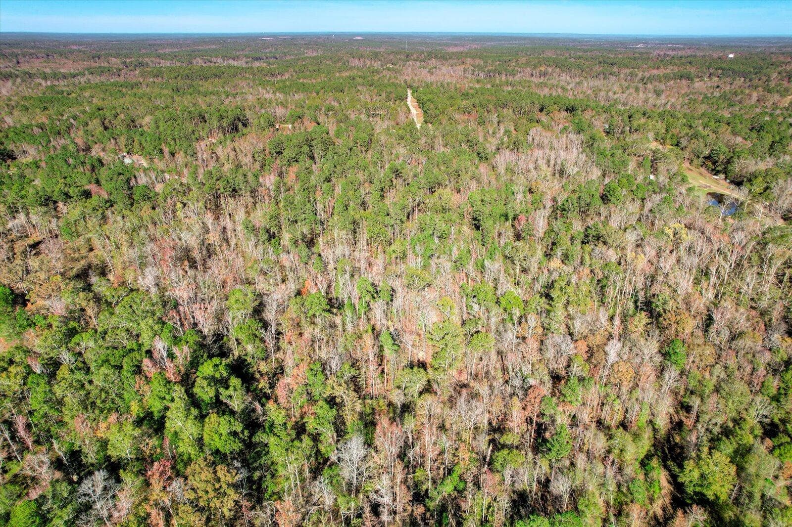 Undeveloped at A 000 Wrightsboro Road, Harlem, GA 30814, photo 8 of 22