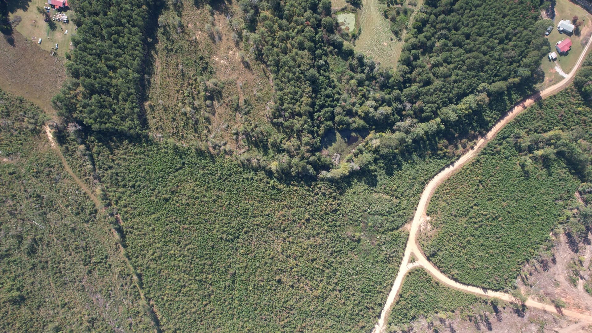 Agriculture at 00 Moores Drive, Edgefield, SC 29824, photo 10 of 14