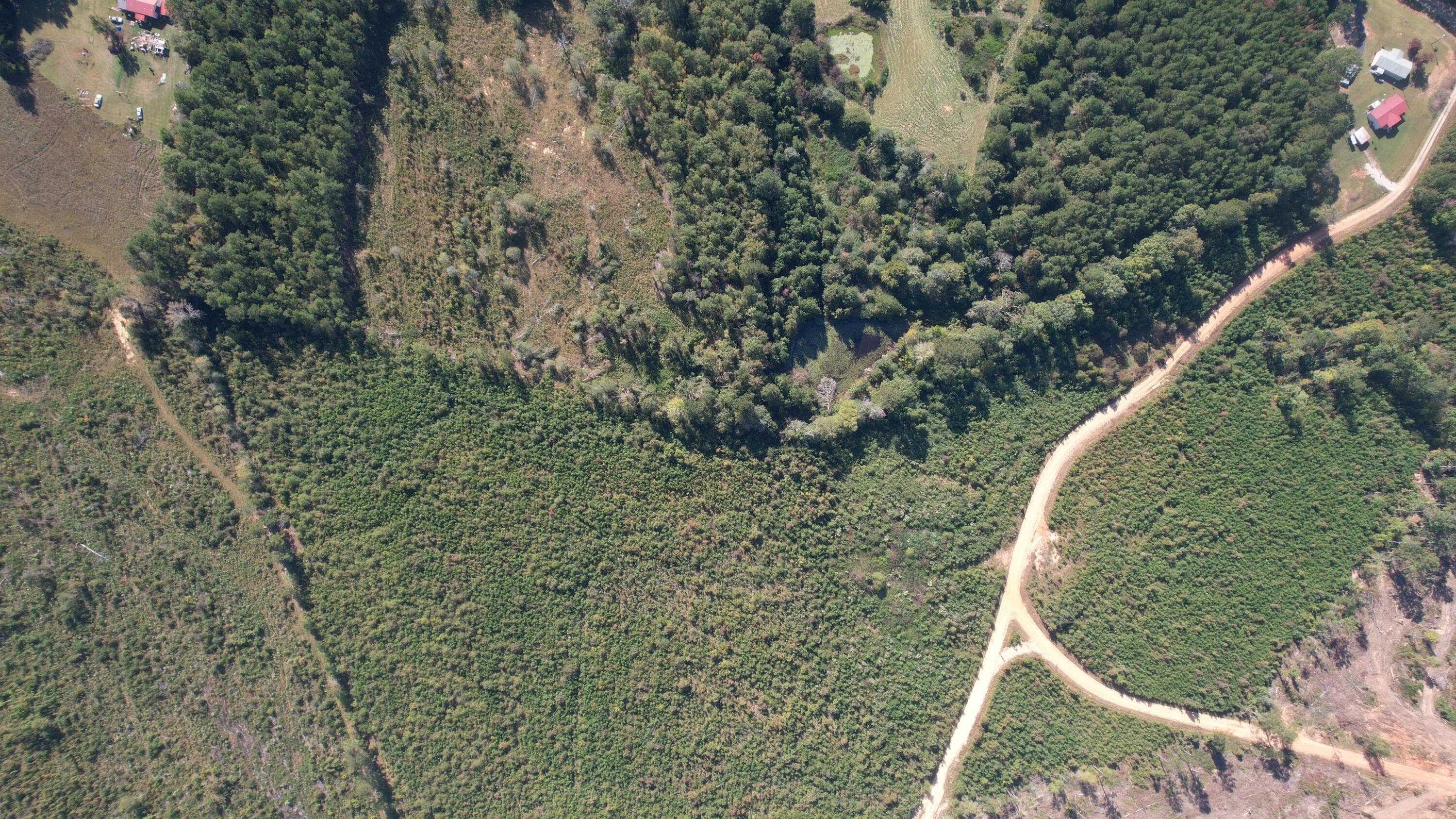 Agriculture at 00 Moores Drive, Edgefield, SC 29824, photo 10 of 14