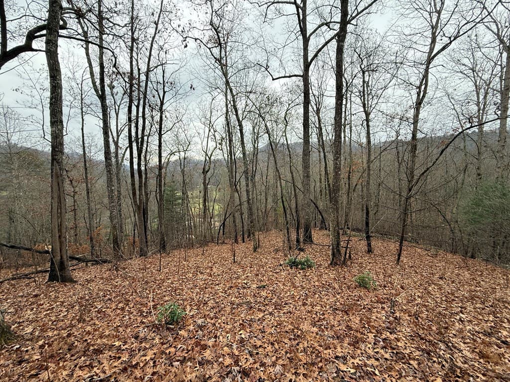 Land at 0 Flaming Ridge, Hayesville, NC 28904, Hayesville, photo 3 of 7