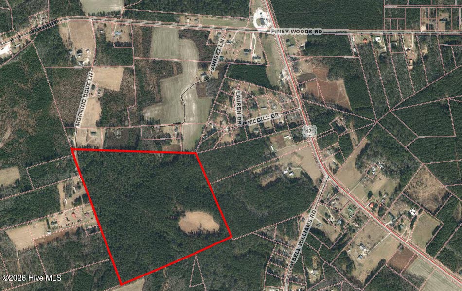 Wooded at 62.60 Morning Dove Ln, Watha, NC 28478, photo 2 of 2