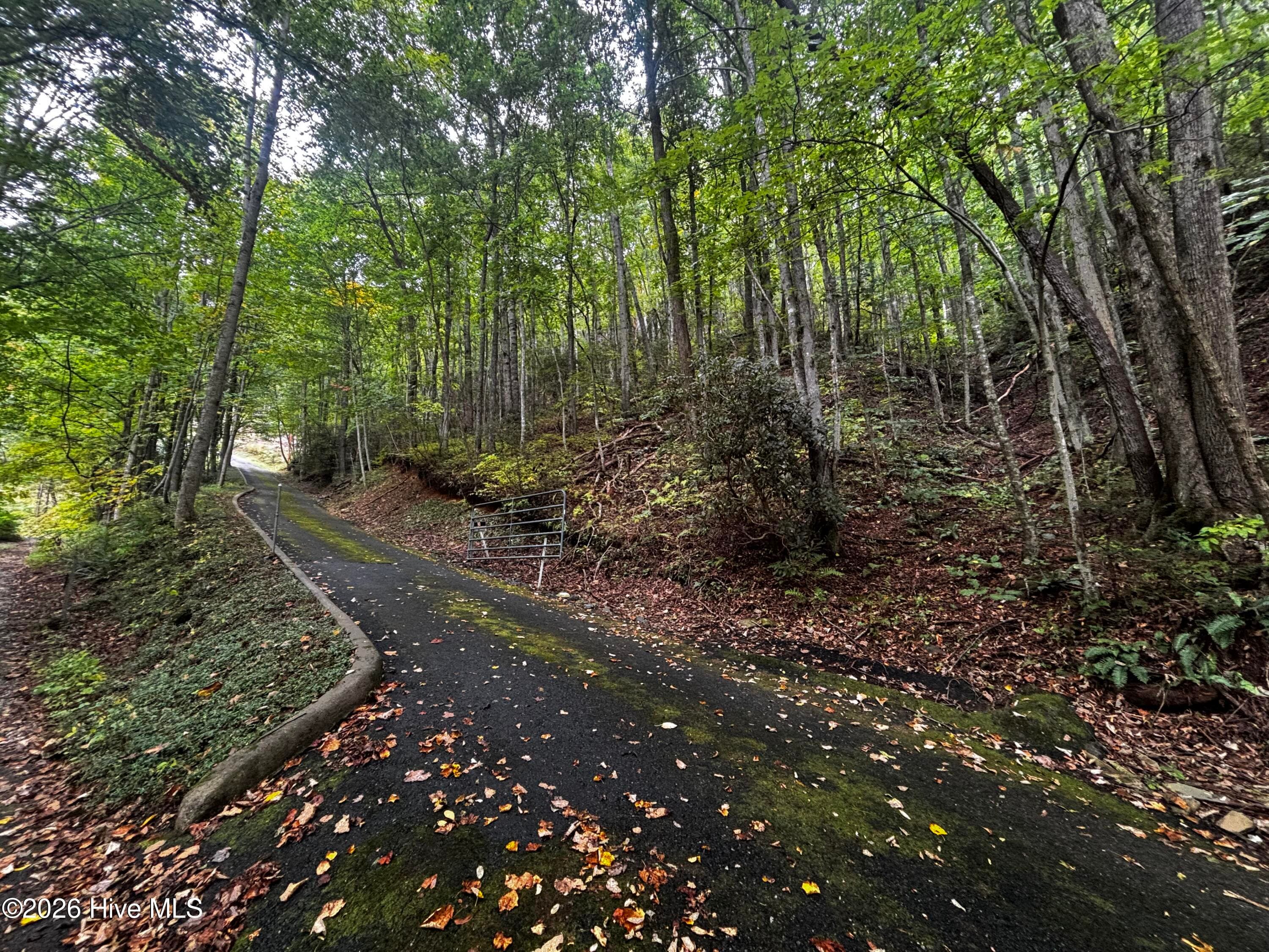 Gate and Private Driveway - 4779 Junaluska Road, Andrews, NC 28901