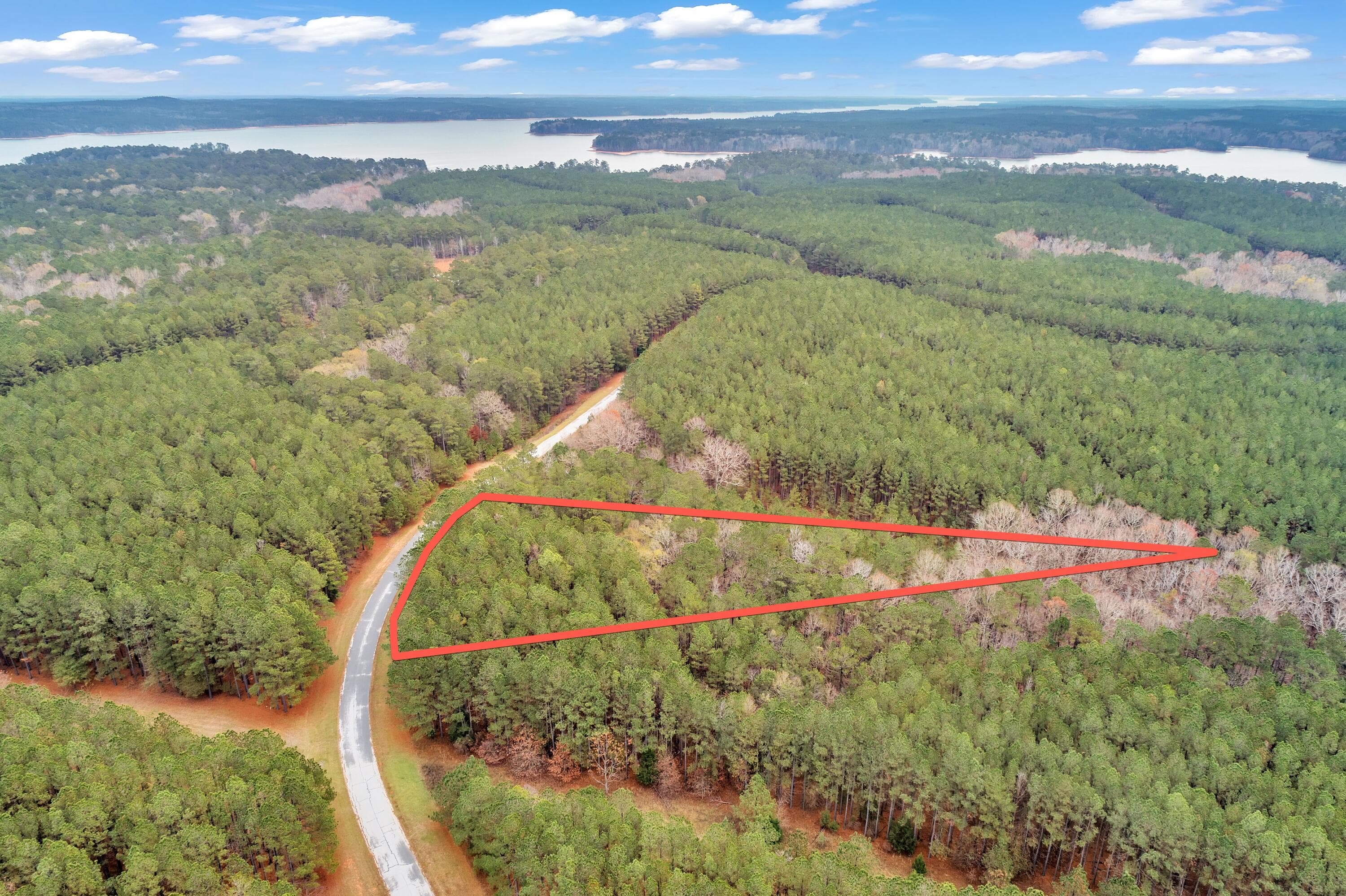 Residential Lot at 1252 294 Rogers Road, Tignall, GA 30668, photo 21 of 29
