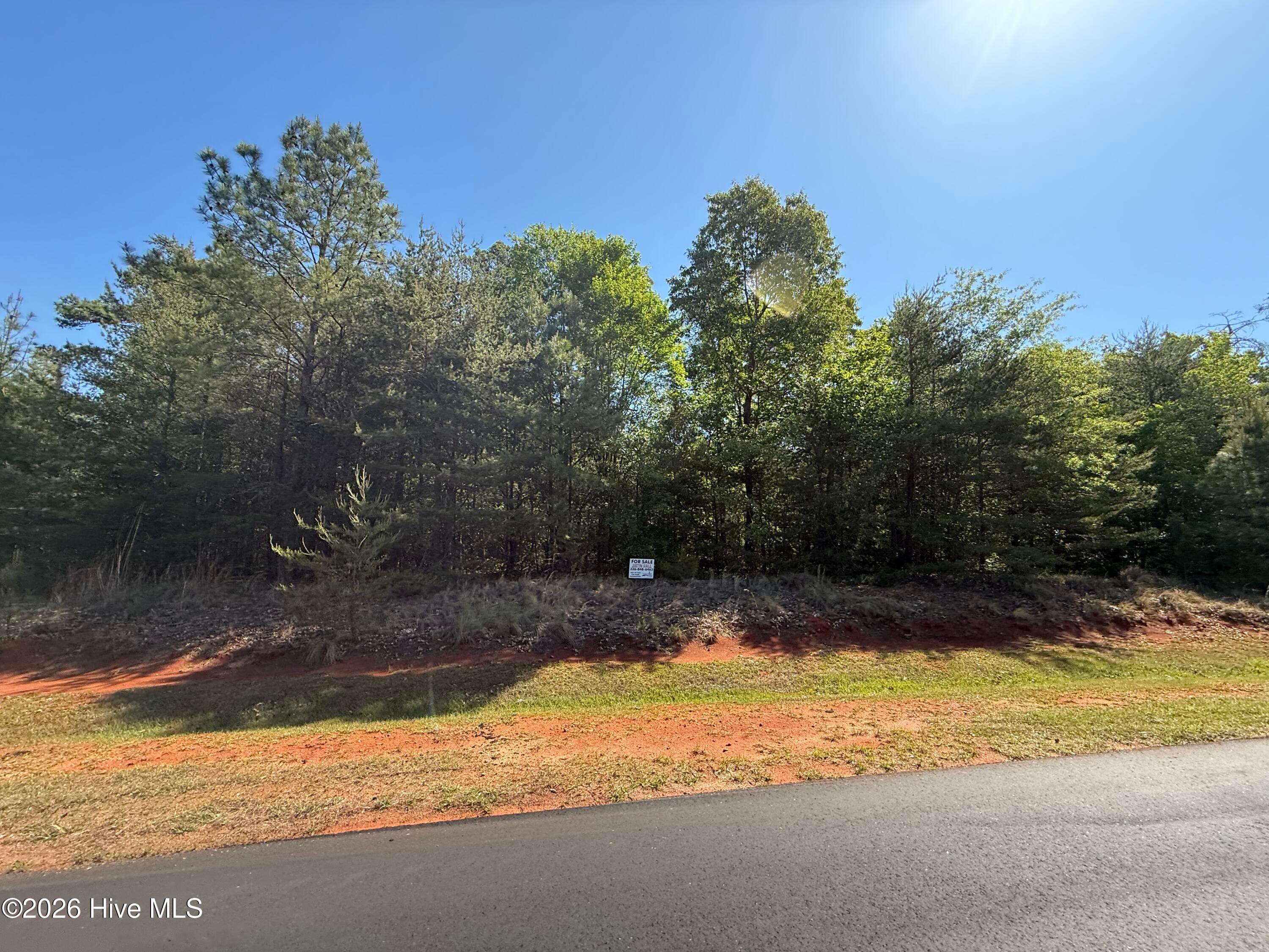 Residential Lot at 176 94 Lakeview Pass, Rockingham, NC 28379, photo 10 of 30