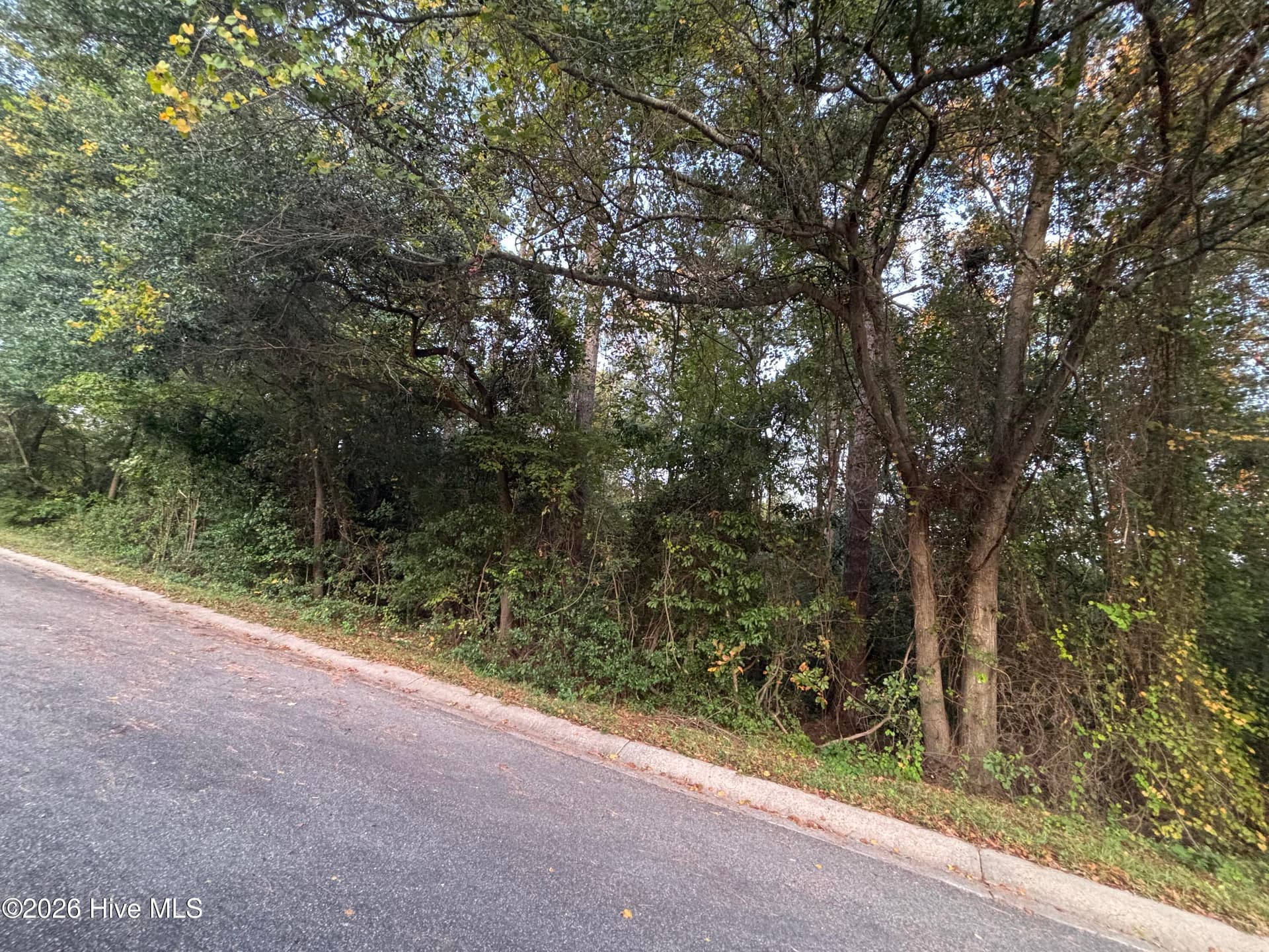 Tbd Mckinnon Road, Rockingham, NC 28379