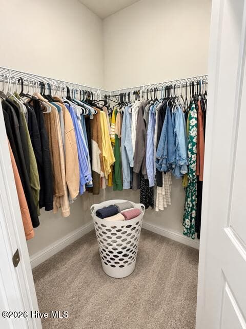 Townhouse at 5333 Gladecress Drive Unit 3501, Leland, NC 28451, photo 13 of 27