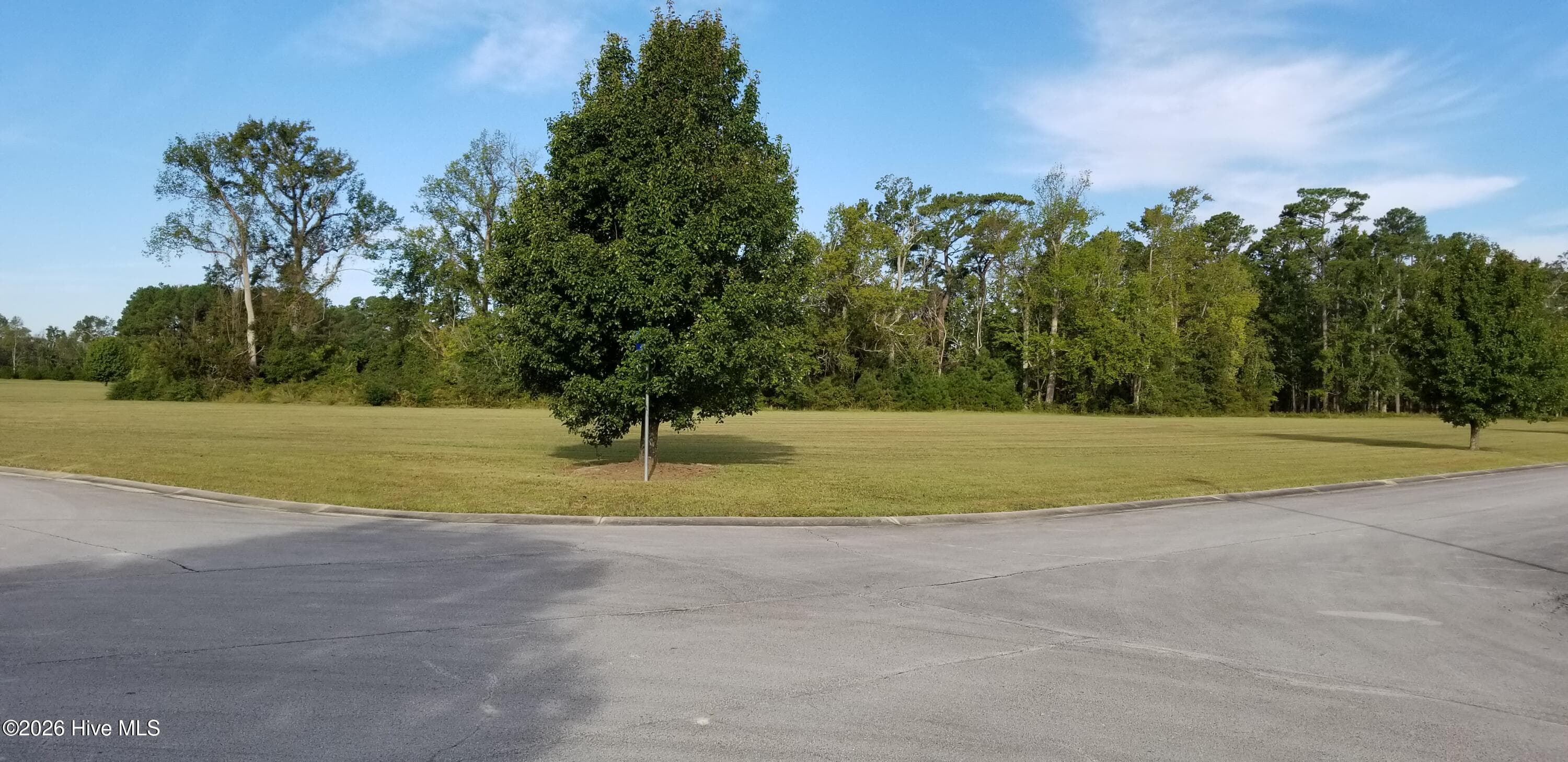 32 Josie Way, Arapahoe, NC 28510