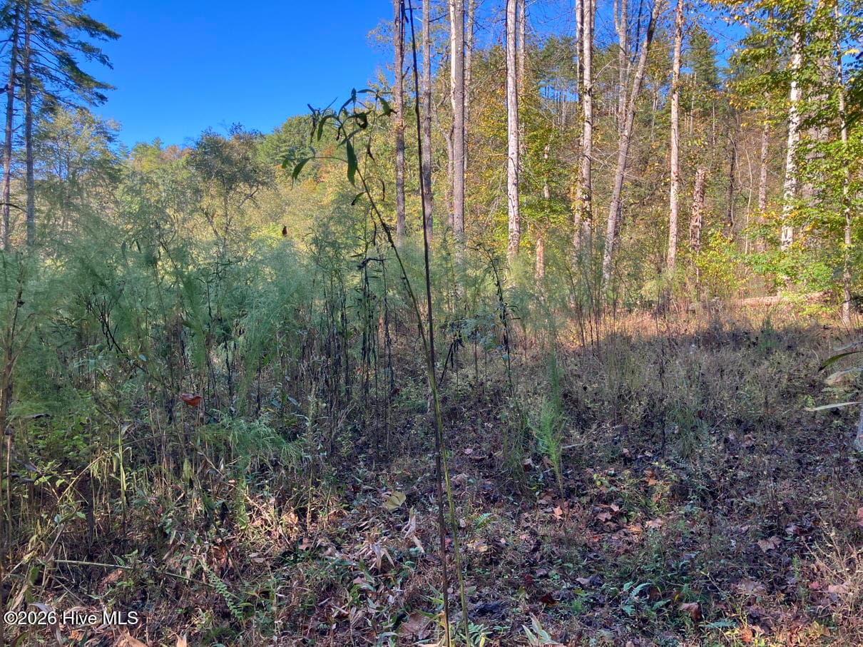 Residential Lot at 6 6 Rushing Water Trail, Hayesville, NC 28904, Hayesville, photo 11 of 14