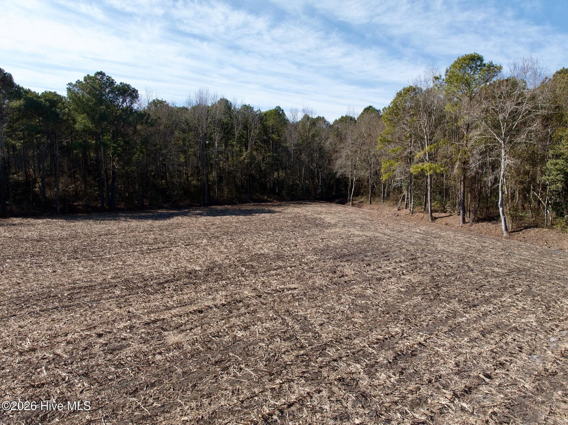 Farm at 0 Sandy Ridge Road, Tyner, NC 27980, photo 3 of 5