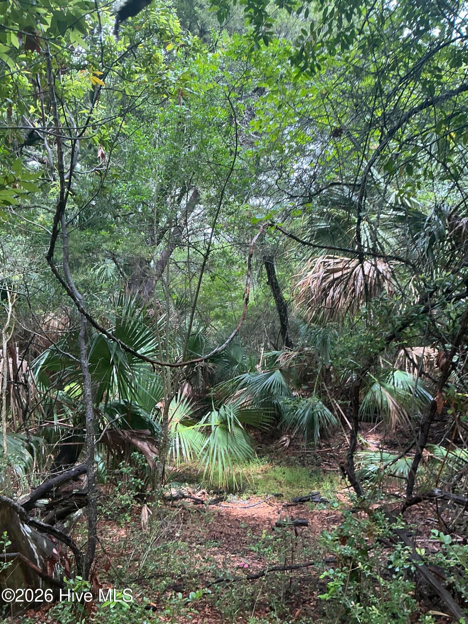 Residential Lot at 8 18 Leopard Frog Court, Bald Head Island, NC 28461, photo 8 of 8