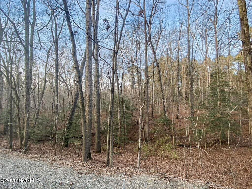 23 23 Equestrian Lane, Carthage, NC 28327