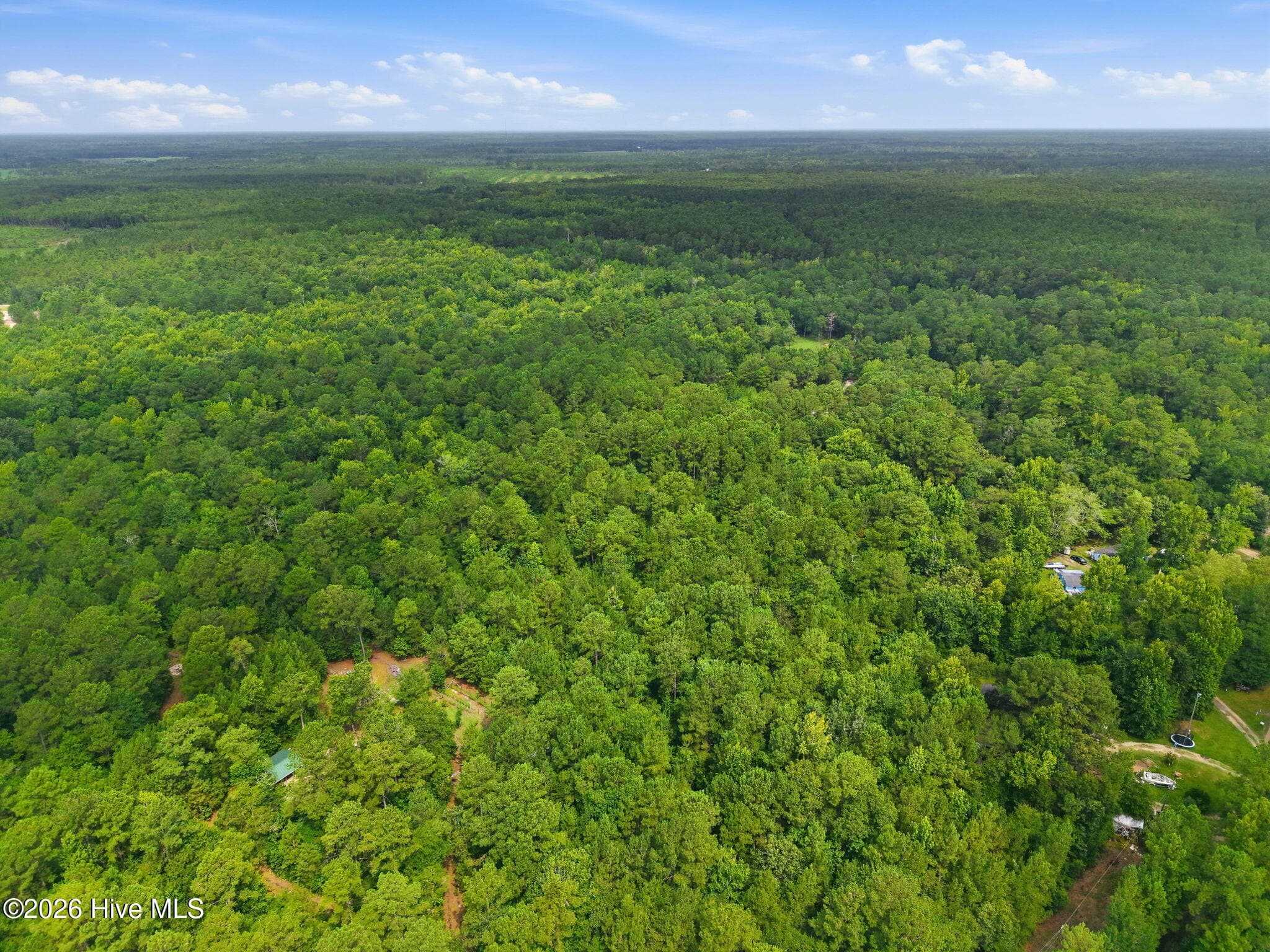 Undeveloped at 0 Copperhead Lane, Burgaw, NC 28425, photo 11 of 24