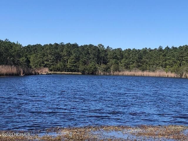 123 85 E Dowry Creek E, Belhaven, NC 27810