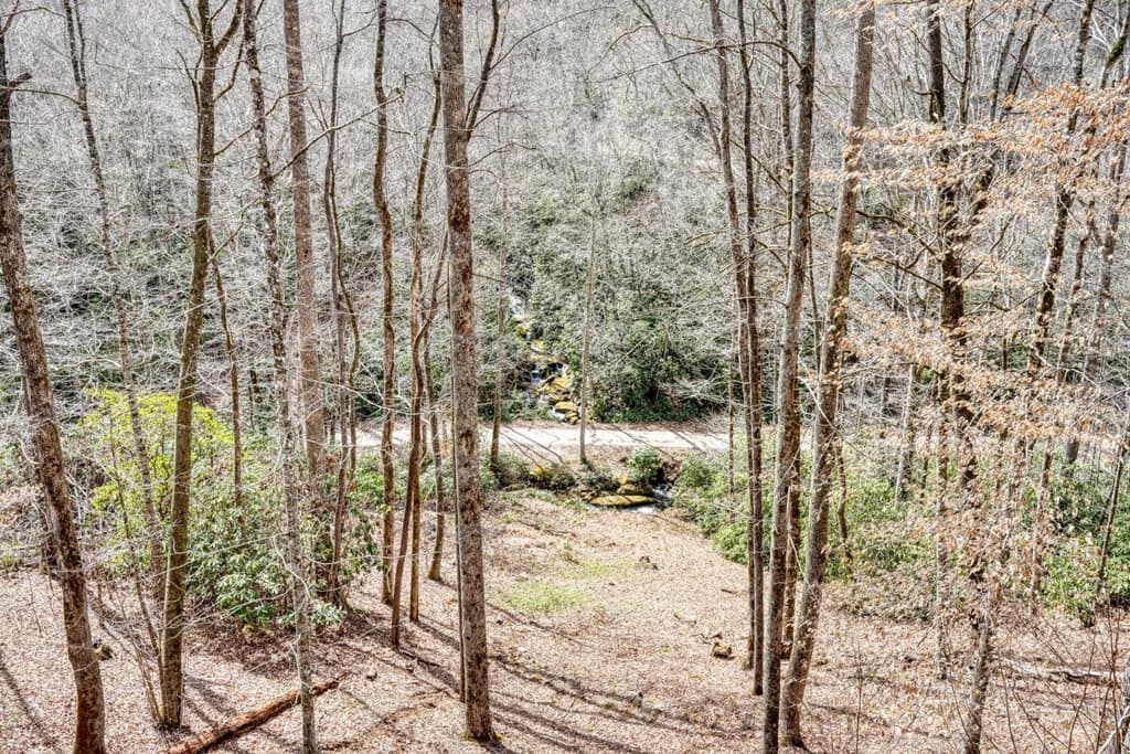 Residential at 575 Carolina Springs Lane, Franklin, NC 28734, photo 52 of 68