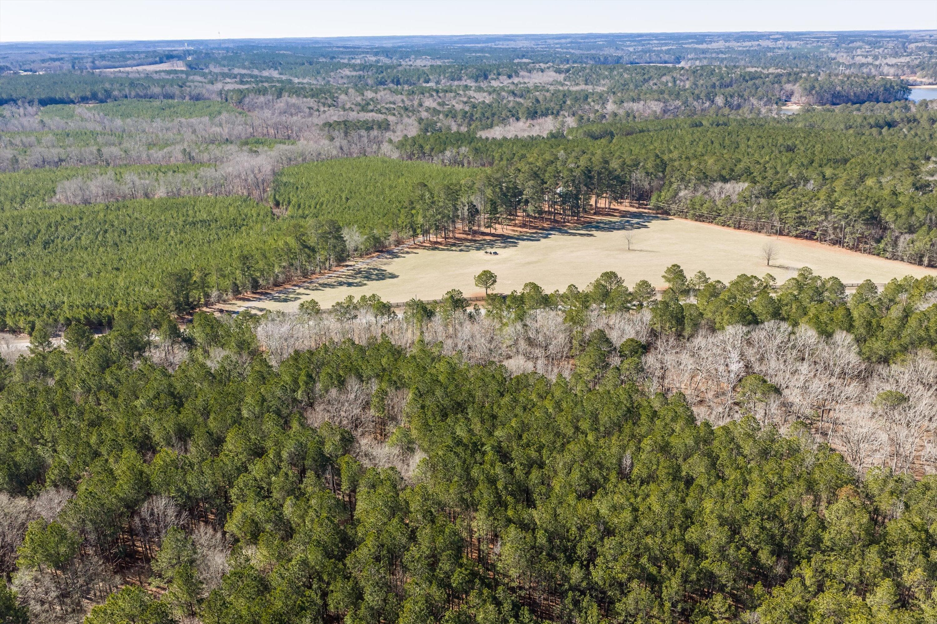 Residential Lot at 1036 116 Chennault Drive, Tignall, GA 30668, photo 3 of 18