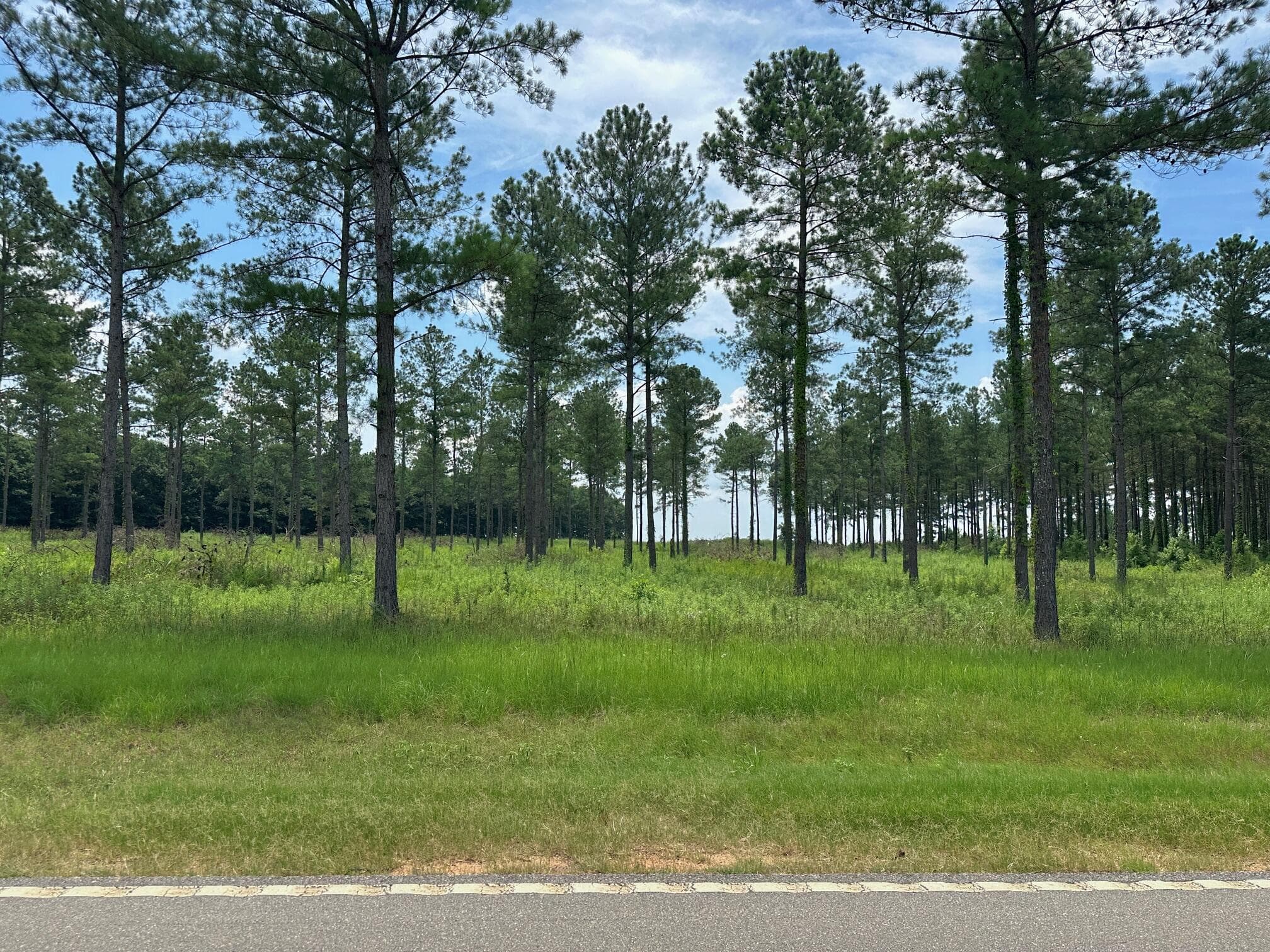 Residential Lot at 0 Chappel Road, Waynesboro, GA 30830, photo 7 of 15