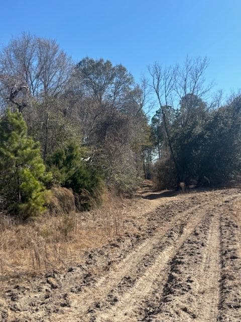 Agriculture at 0 Starfish Lane, Lyons, GA 30436, photo 8 of 8