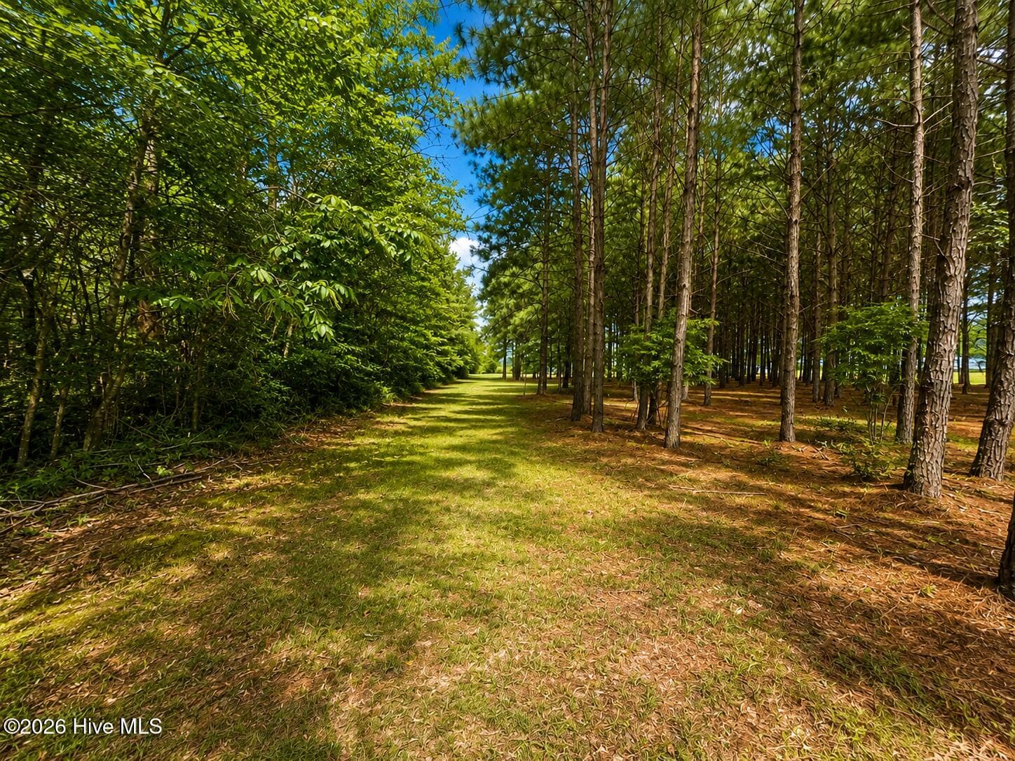 Residential Lot at 28 Bunn Road, Kenly, NC 27542, photo 4 of 11