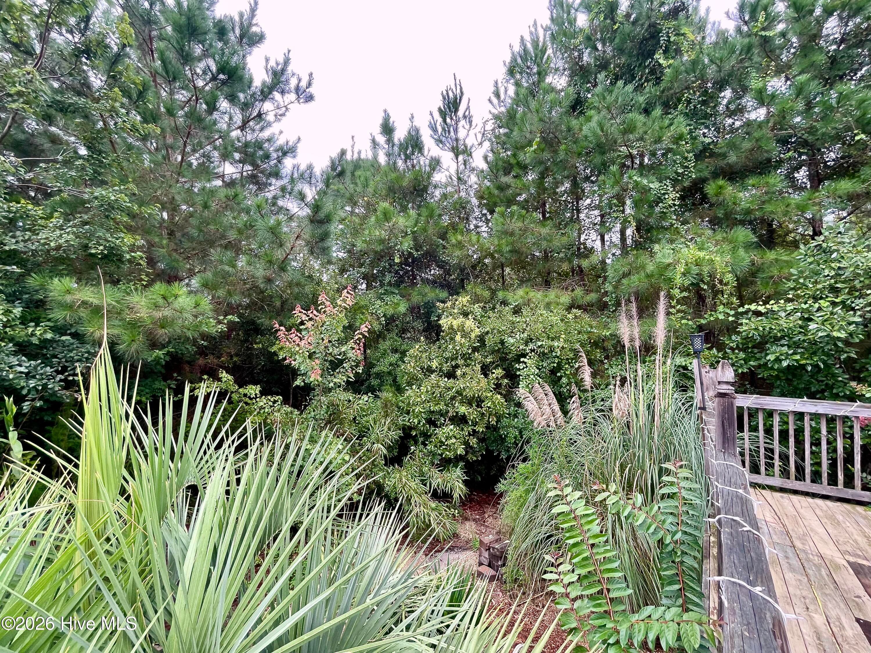 Single Family Residence at 520 Laurinburg Road, Southport, NC 28461, photo 54 of 59