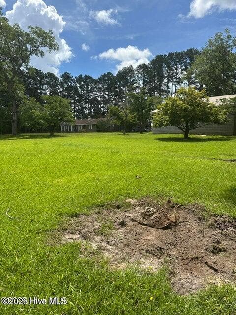 Single Family Residence at 4803 Andrew Jackson Highway SW, Chadbourn, NC 28431, photo 62 of 72