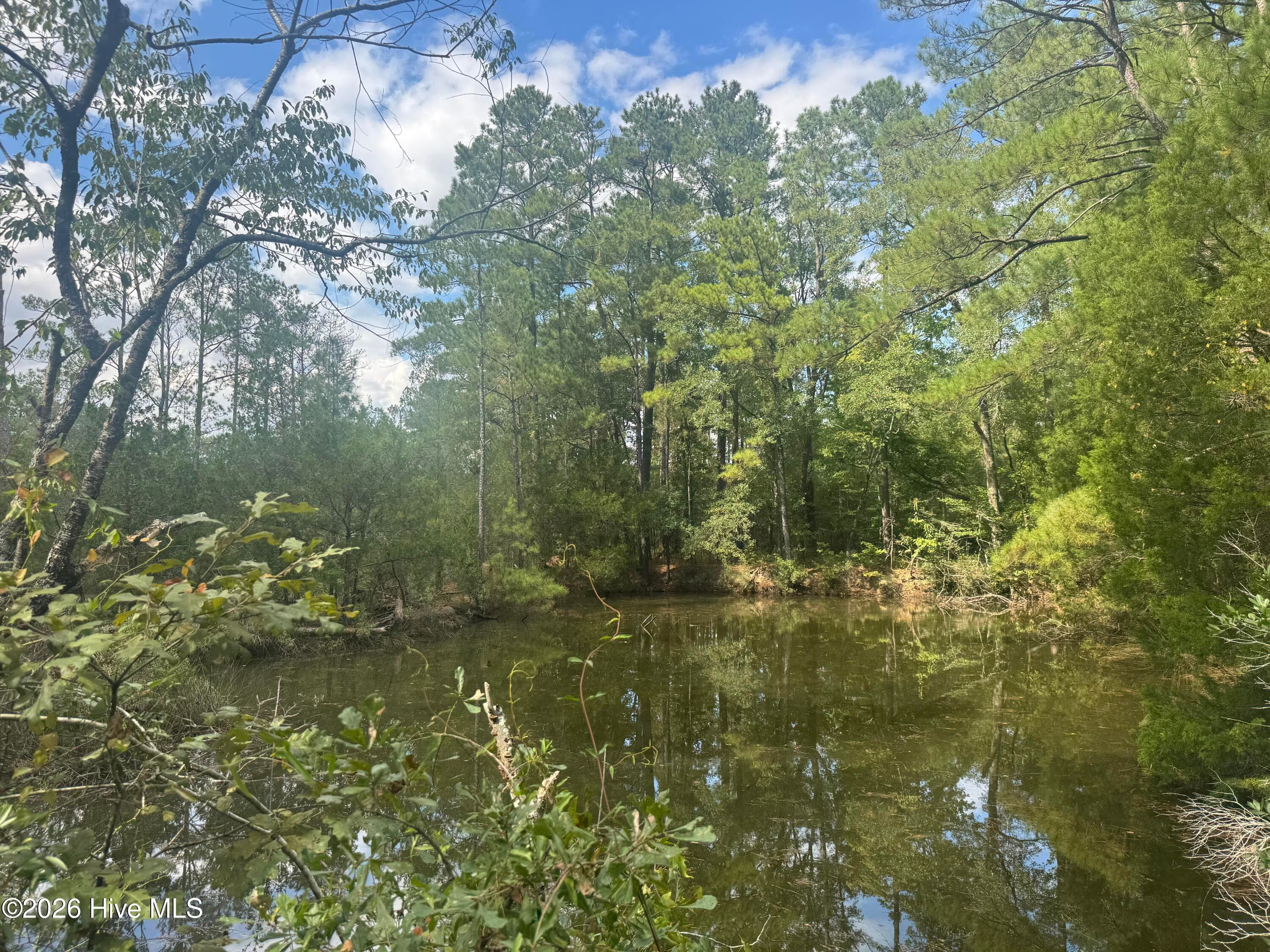 Undeveloped at 0 Nc 304, Bayboro, NC 28515, photo 19 of 21