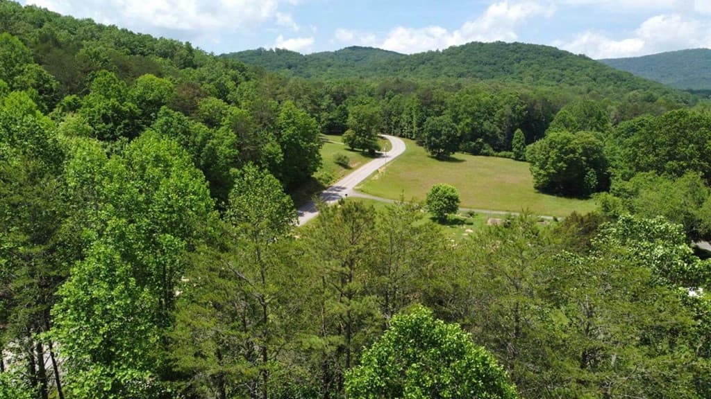 Land at Tract 1 Timber Ridge Road, Blairsville, GA 30512, photo 9 of 19