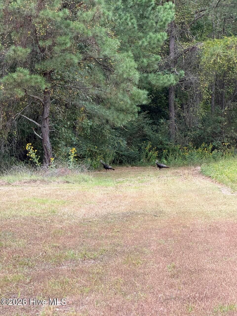 Single Family Residence at 1708 Nc Highway 45, Cofield, NC 27922, photo 53 of 86