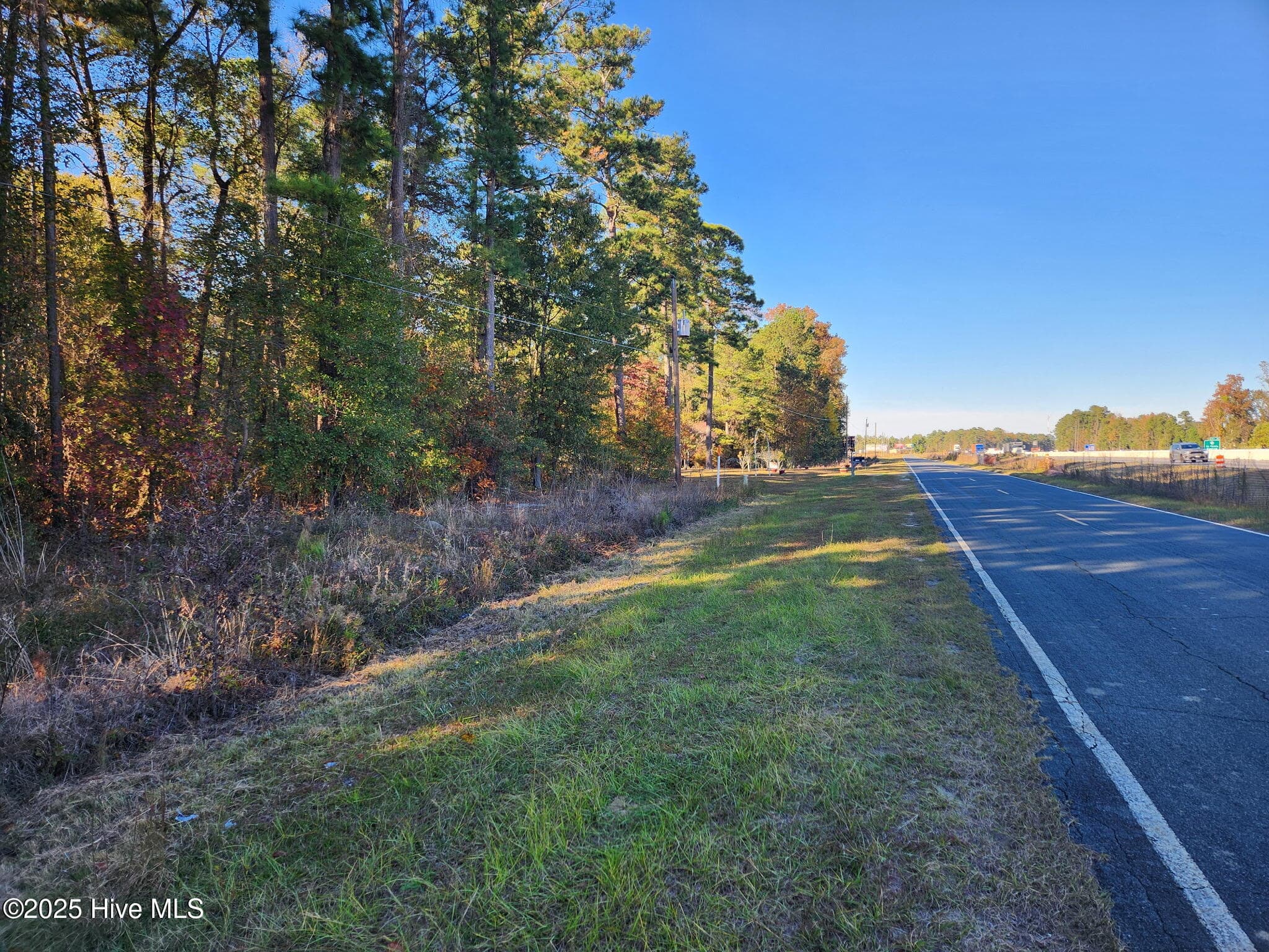 0 Cedar Grove Church Road, Saint Pauls, NC 28384