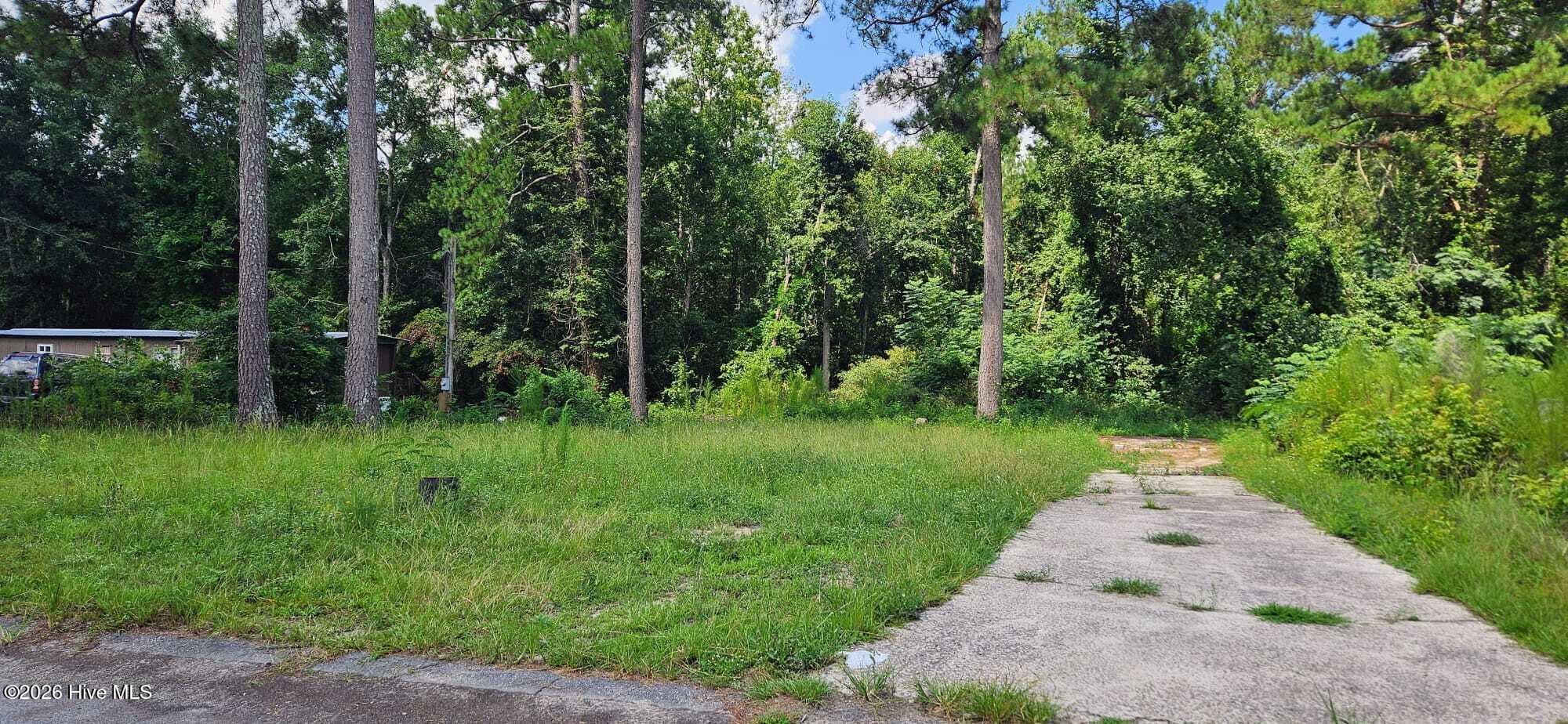 Residential Lot at 2815 April Drive, Augusta, GA 30906, photo 5 of 11