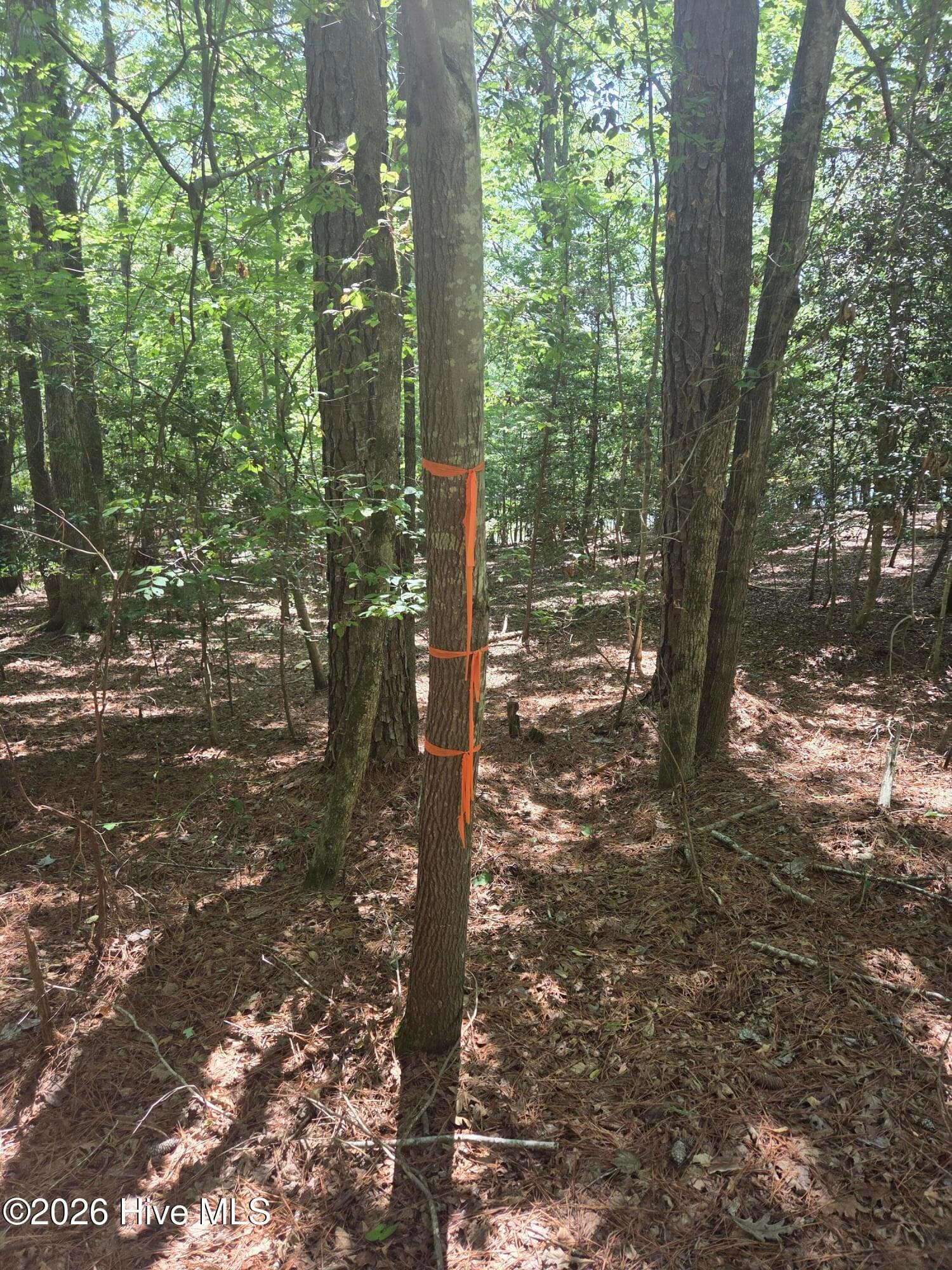 Residential Lot at Lot 45b 45B Appaloosa Lake Drive, Carthage, NC 28327, Carthage, photo 7 of 19
