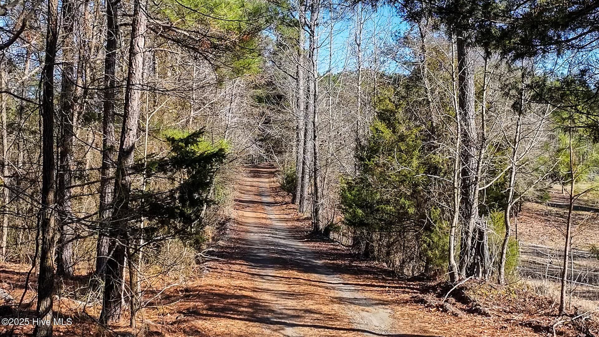 Undeveloped at Off 5 J B Morgan Road, Apex, NC 27502, photo 5 of 21