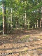15 B1 15 B1 Southwind Drive, McCormick, SC 29835