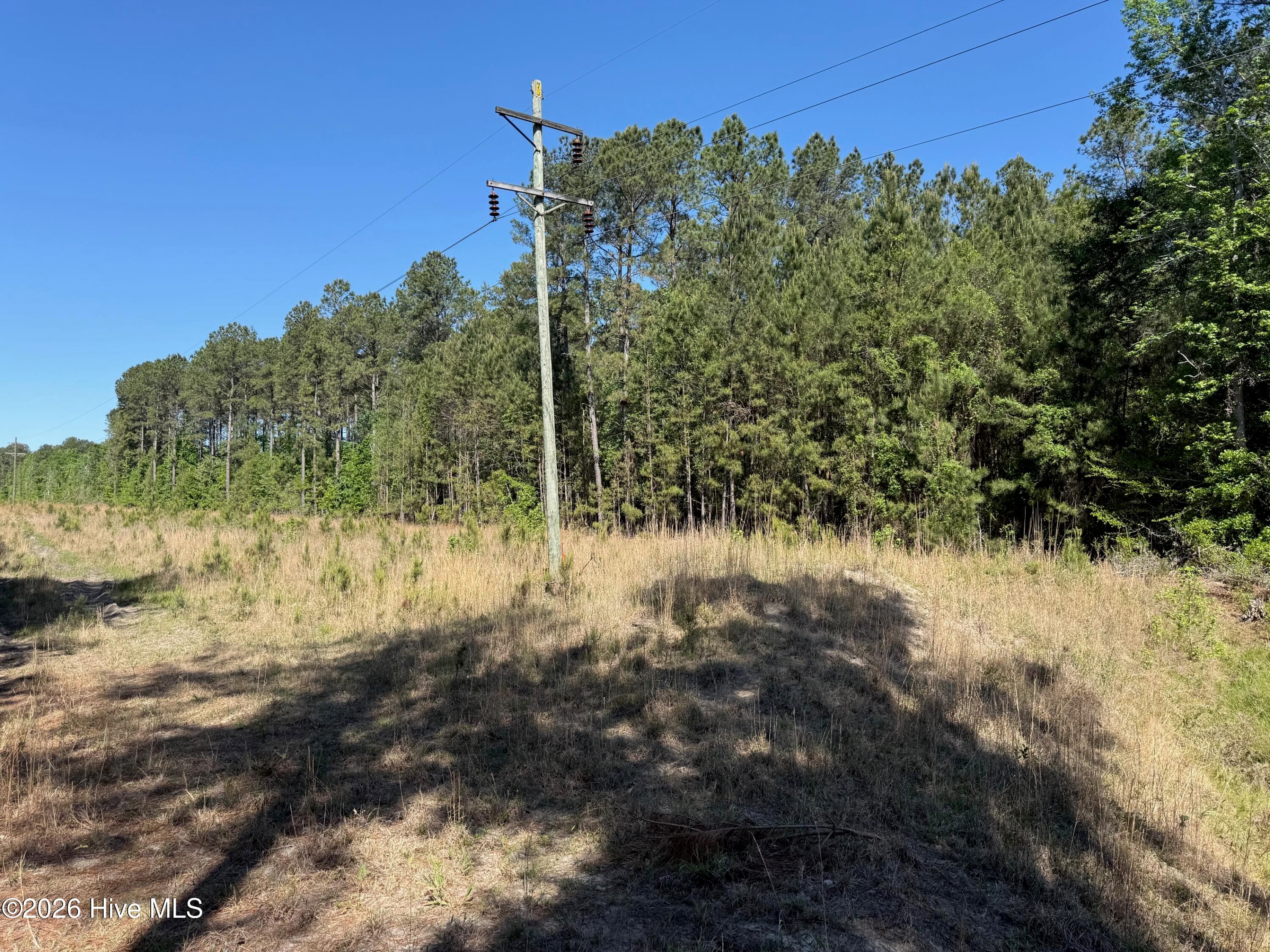 Wooded at 20.51 Acre Sweat Drive, Bladenboro, NC 28320, photo 6 of 16