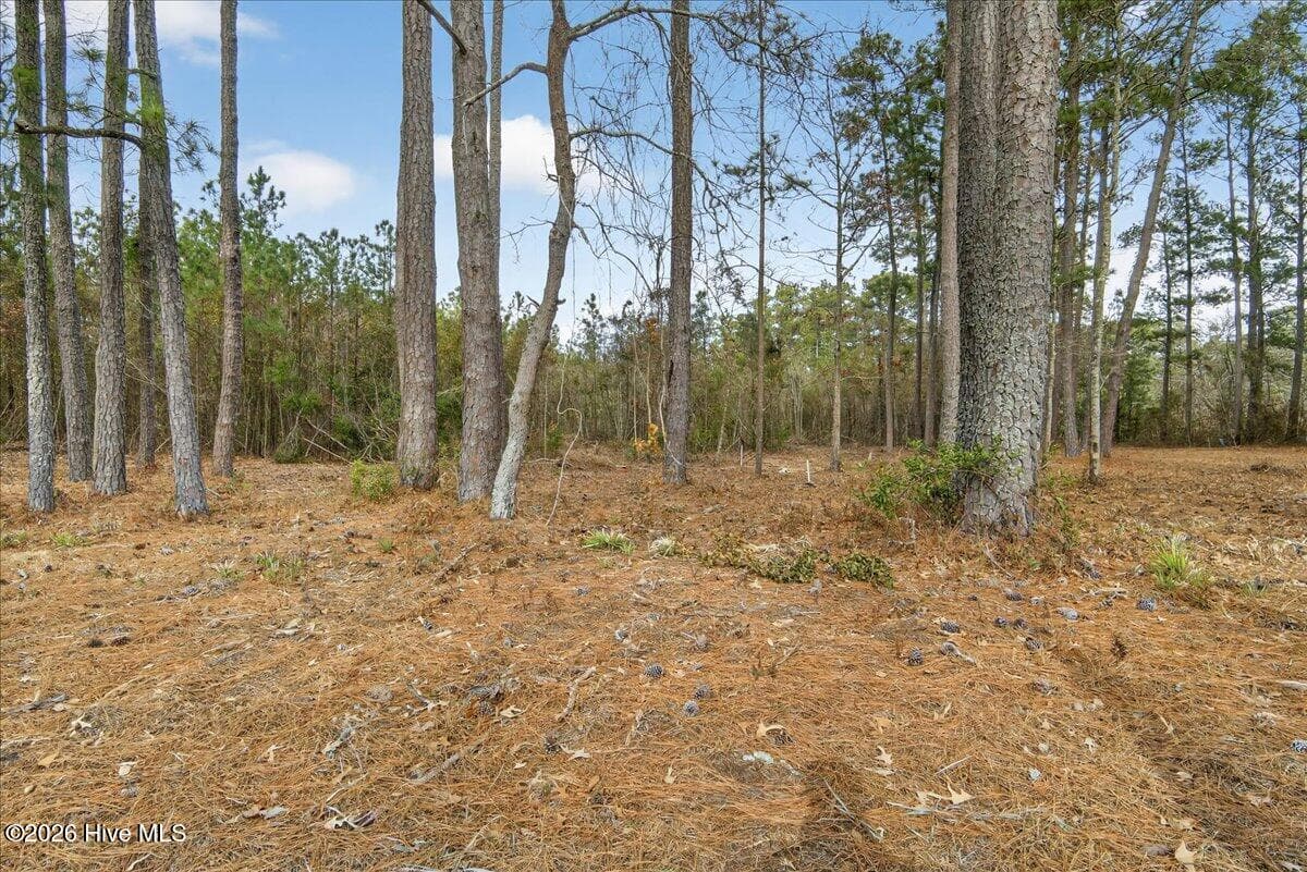 Wooded at 2162 Old Pamlico Beach Road W, Belhaven, NC 27810, photo 4 of 25