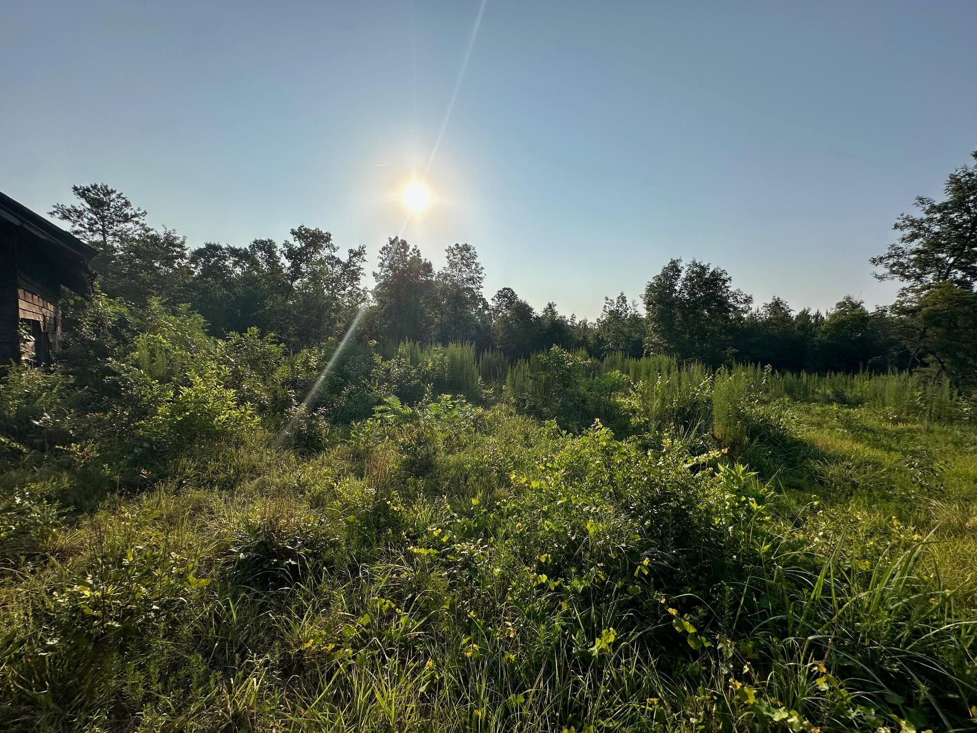 Undeveloped at 2576 Jessie James Pond Road, Wrens, GA 30833, photo 18 of 56