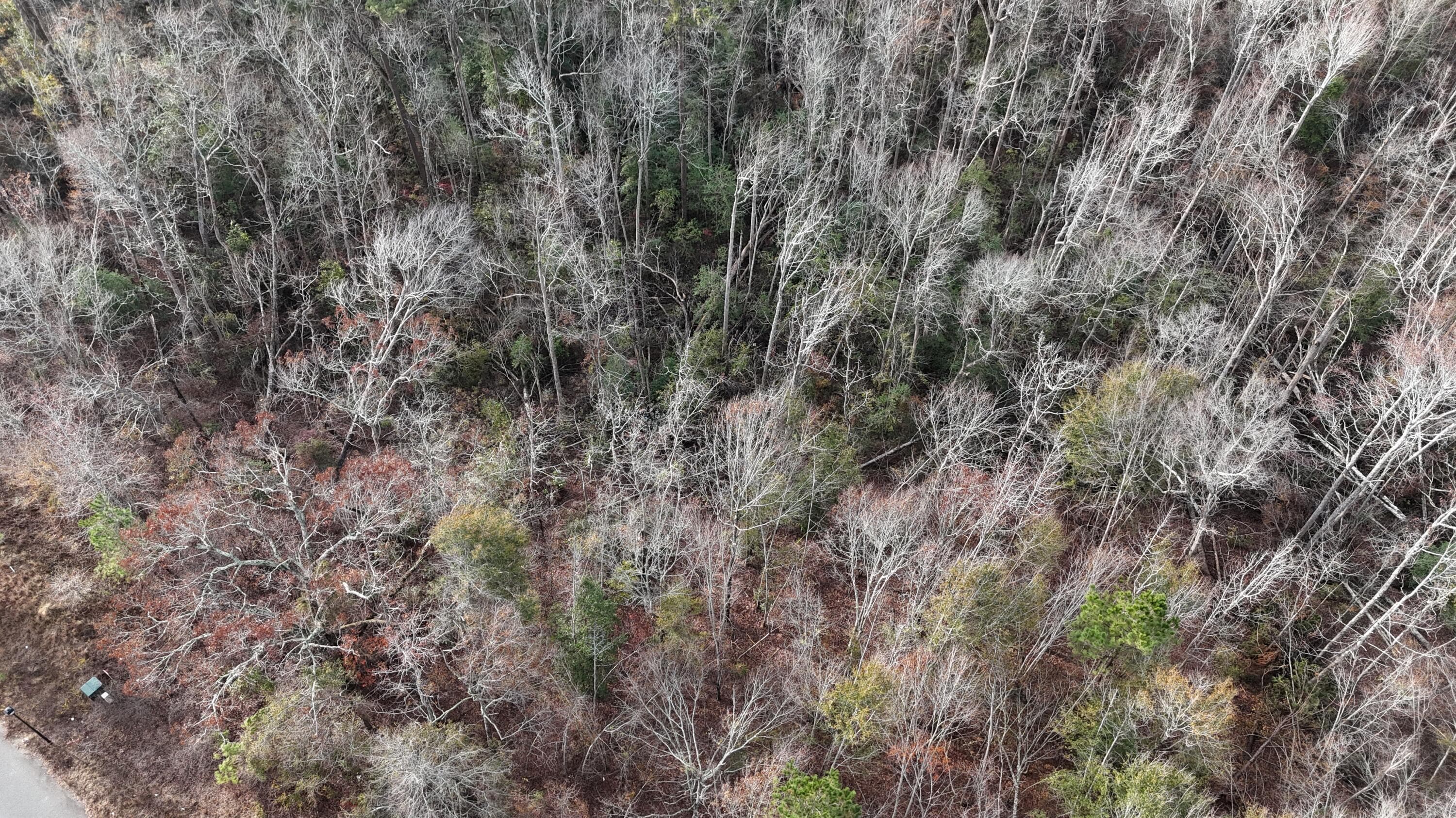 Residential Lot at 2664 New Hope Circle, Hephzibah, GA 30815, photo 5 of 8