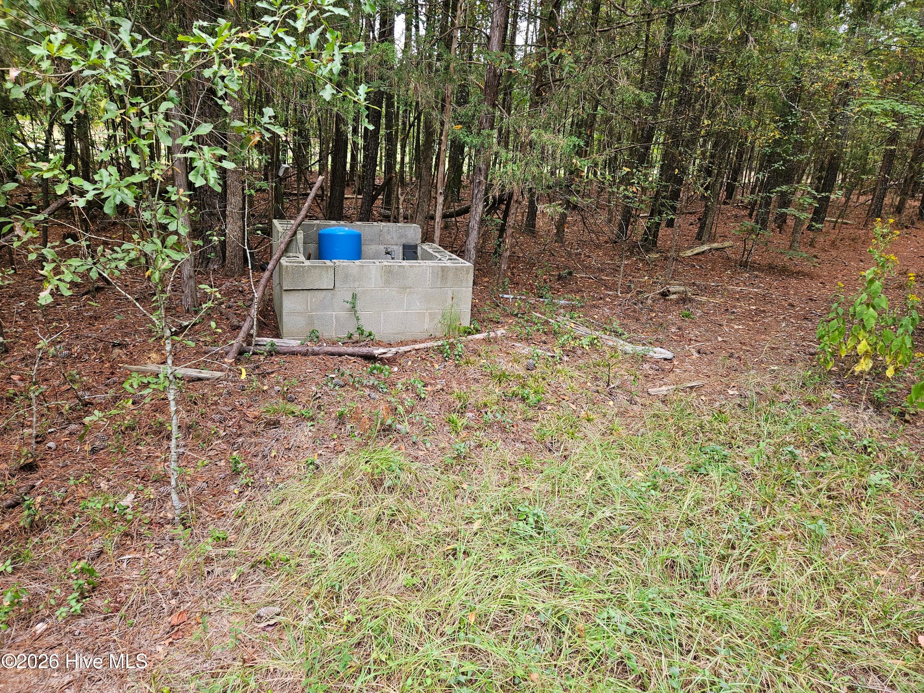 Wooded at 0 Washington Highway, Lincolnton, GA 30817, photo 4 of 11
