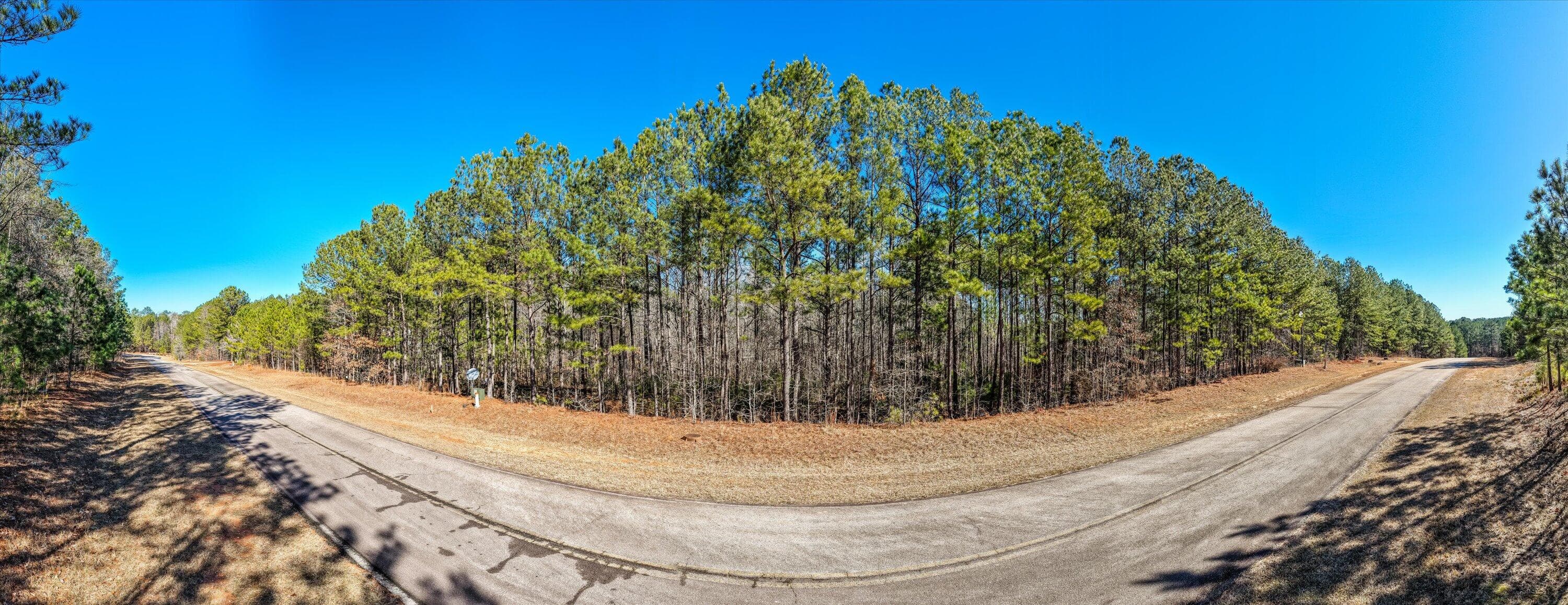 Residential Lot at Lot 64 Wisteria Drive, Lincolnton, GA 30817, photo 5 of 27