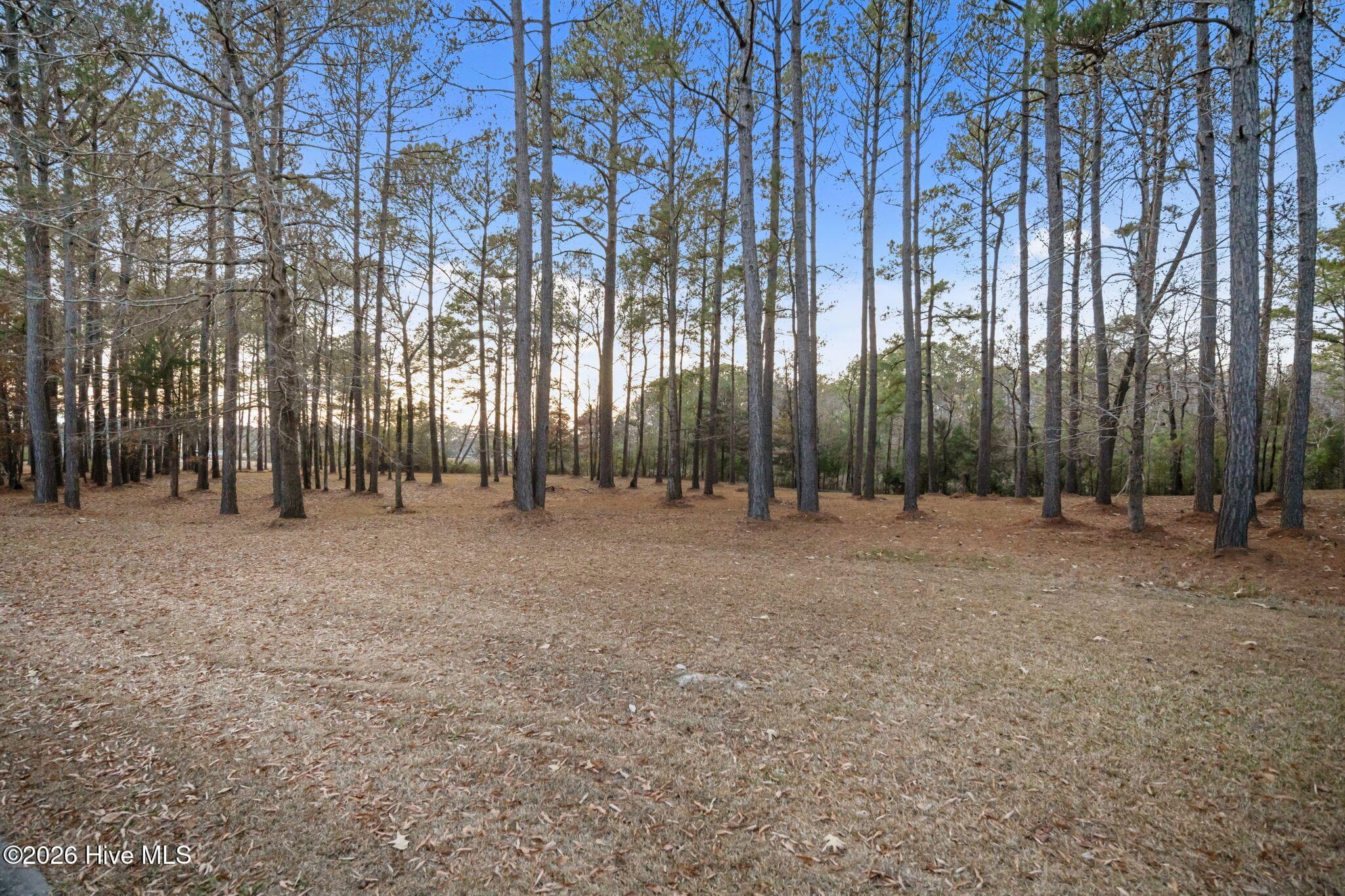 Residential Lot at 850 213 Southern Plantation Drive N, Oriental, NC 28571, photo 14 of 23