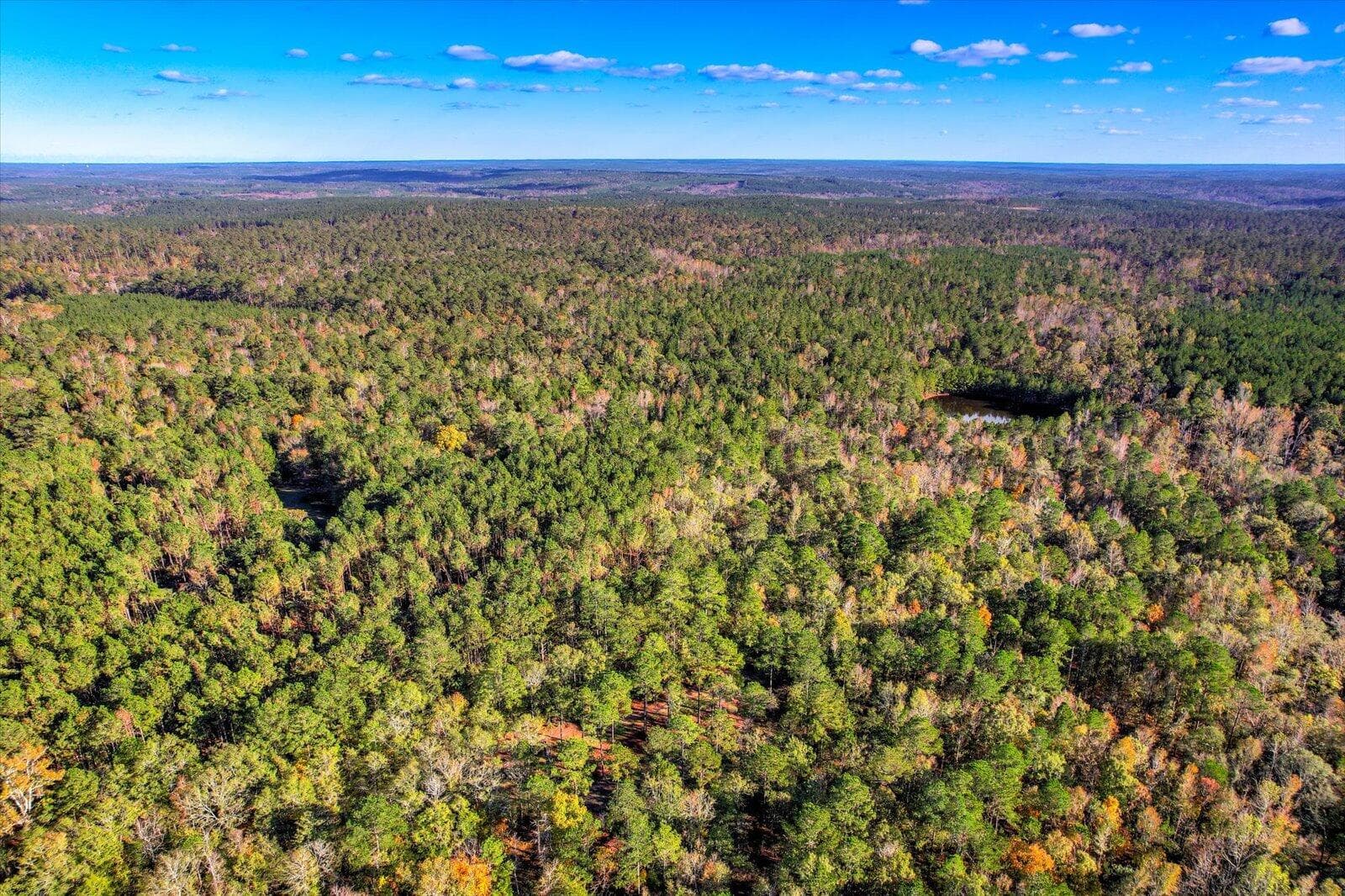 Undeveloped at Tbd2 Sc-23, Edgefield, SC 29824, photo 25 of 41