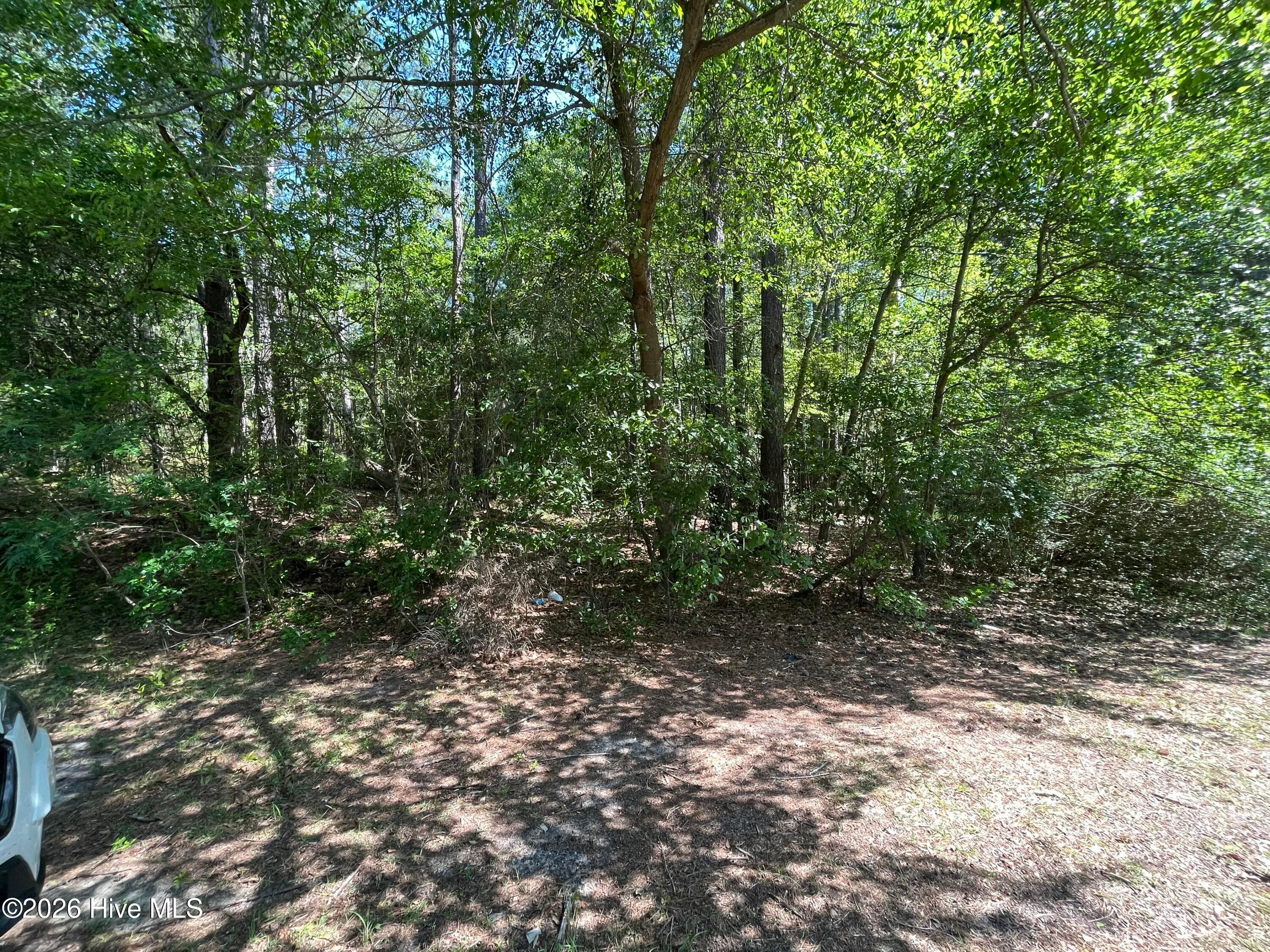Residential Lot at 304 Eastman Road, Southern Pines, NC 28387, photo 3 of 5