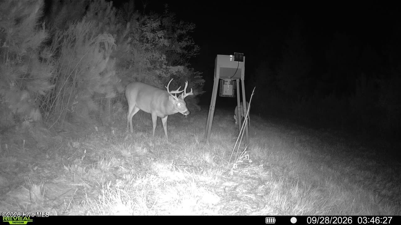 Undeveloped at 0 Pughsley Road, Stapleton, GA 30823, photo 11 of 13